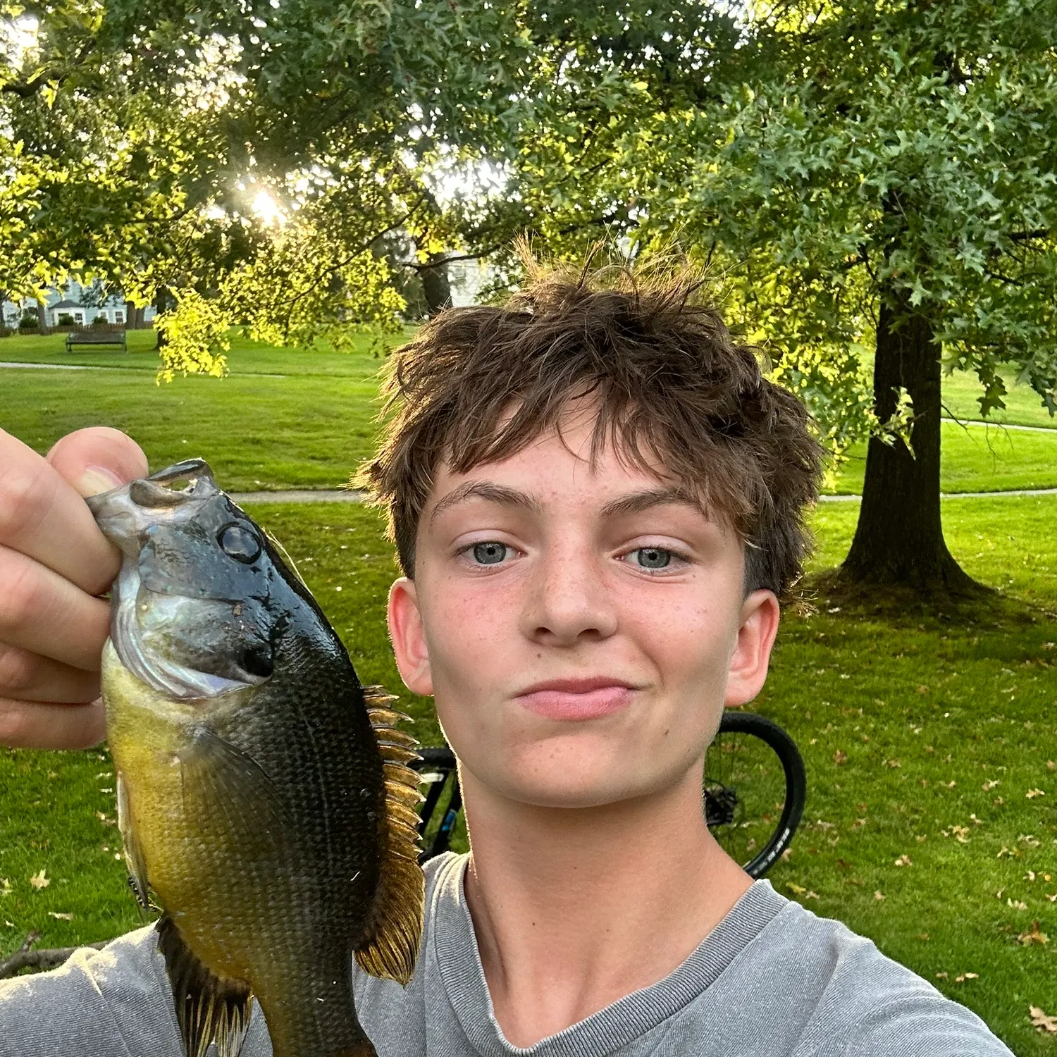 Green sunfish caught on Fishbrain