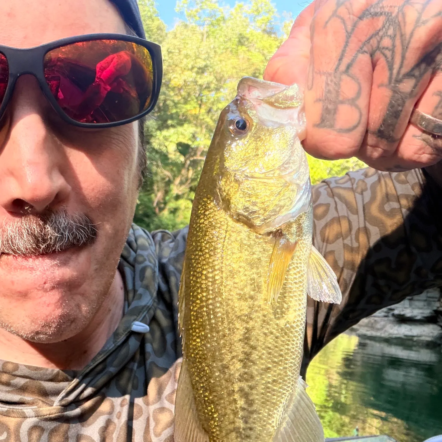 Largemouth bass caught on Fishbrain