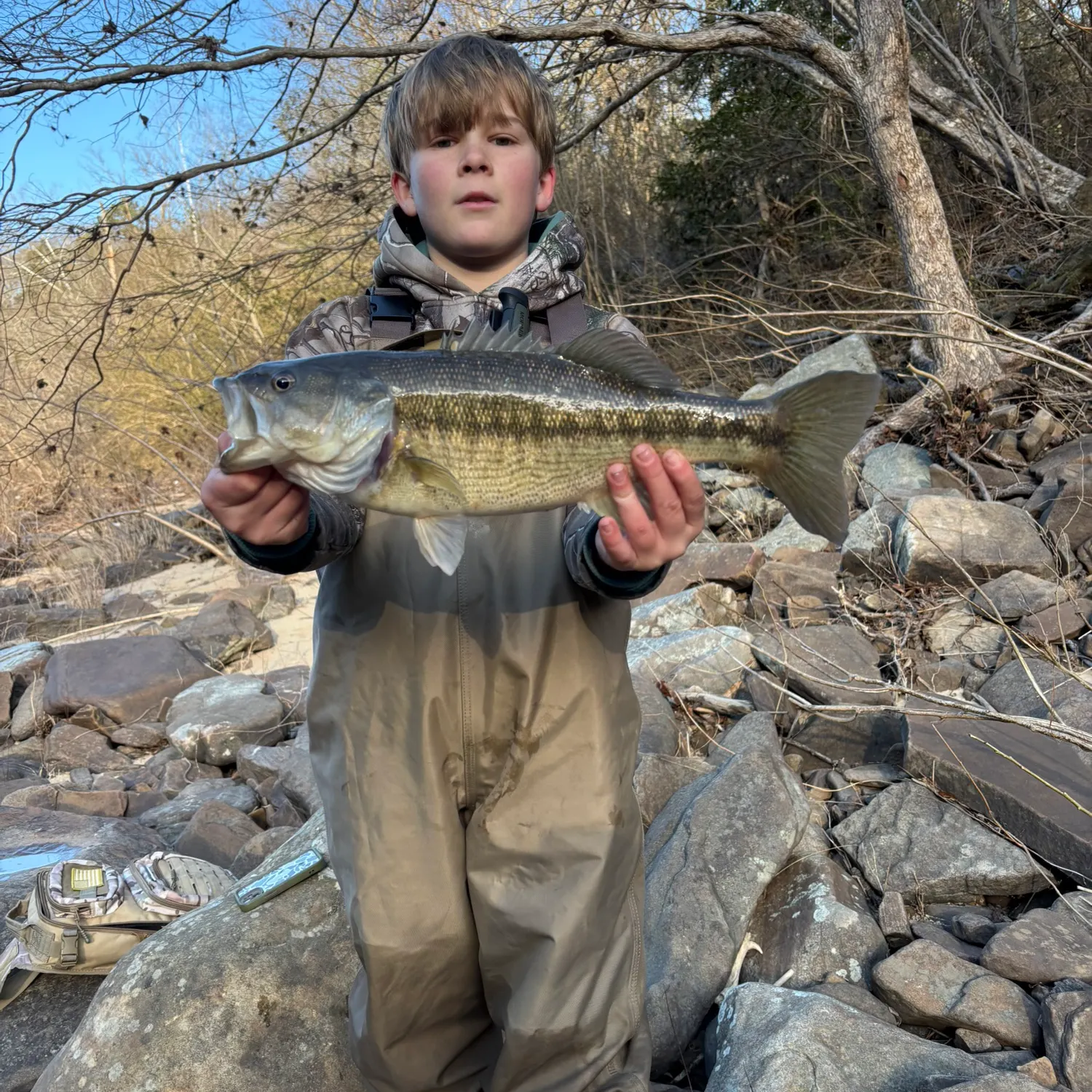 The most recent Alabama bass catches on Fishbrain