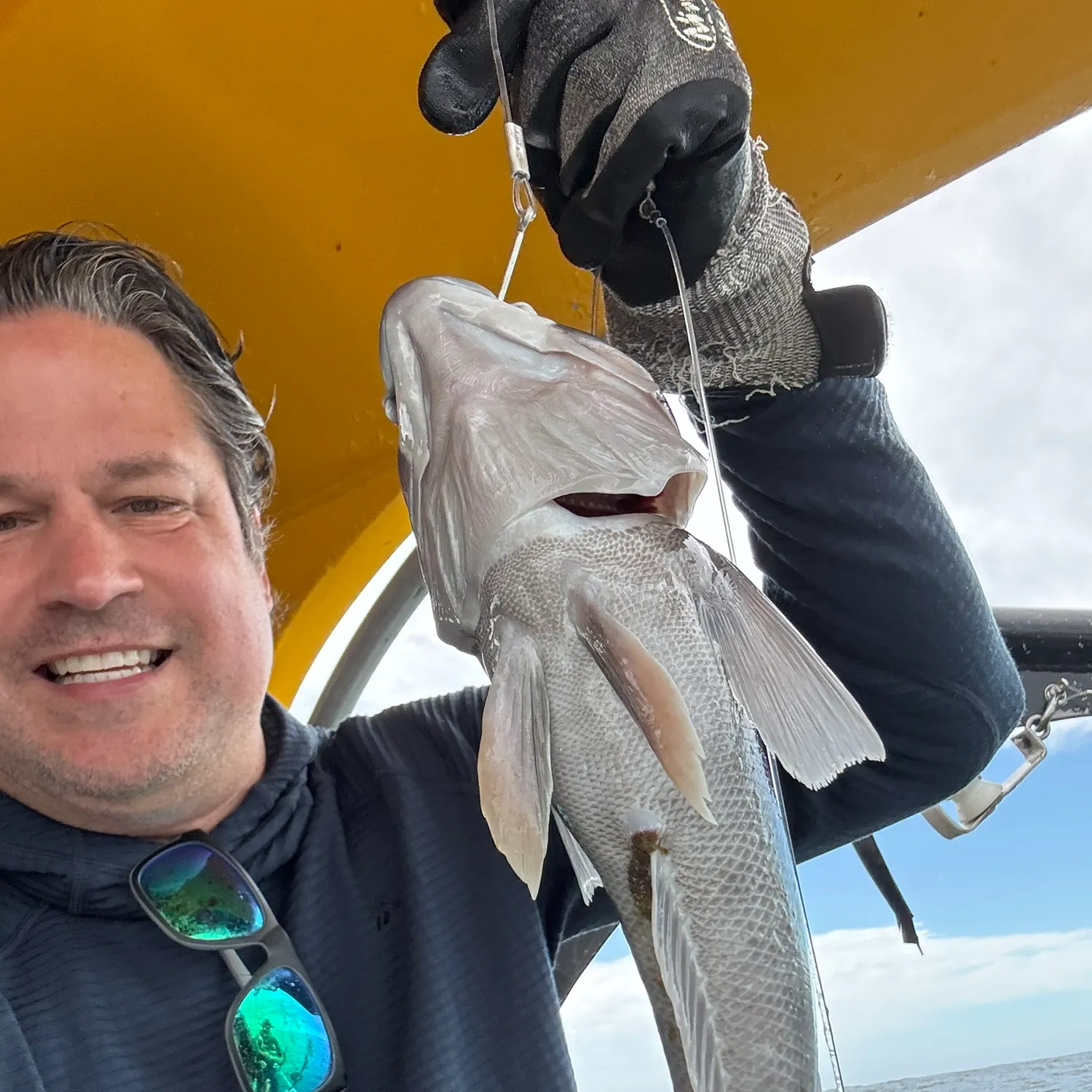 The most recent Blue cod catches on Fishbrain