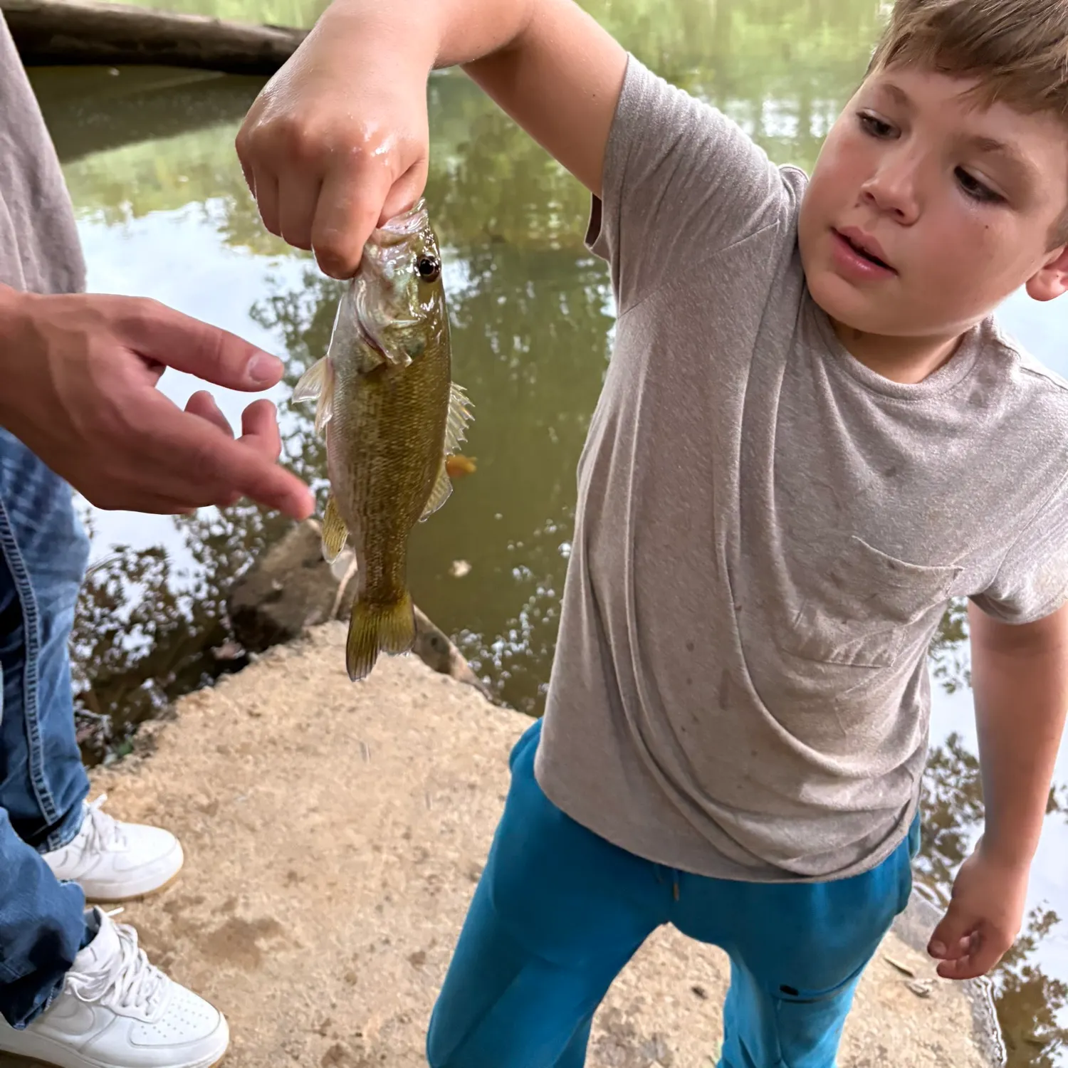 Fish caught on Fishbrain
