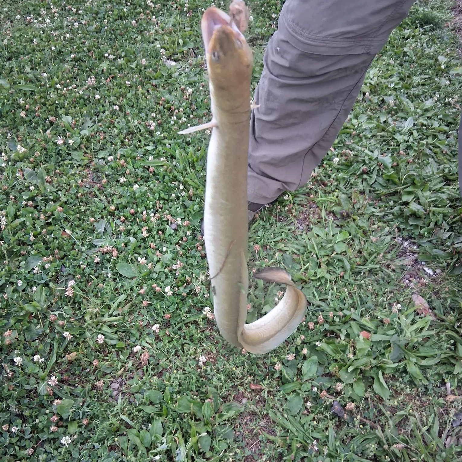 catch