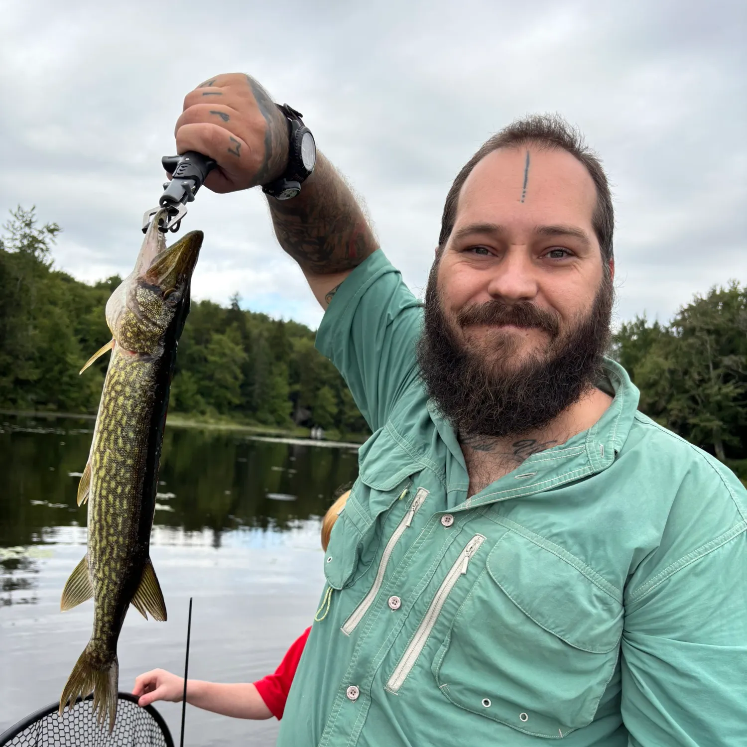 Chain pickerel caught on Fishbrain
