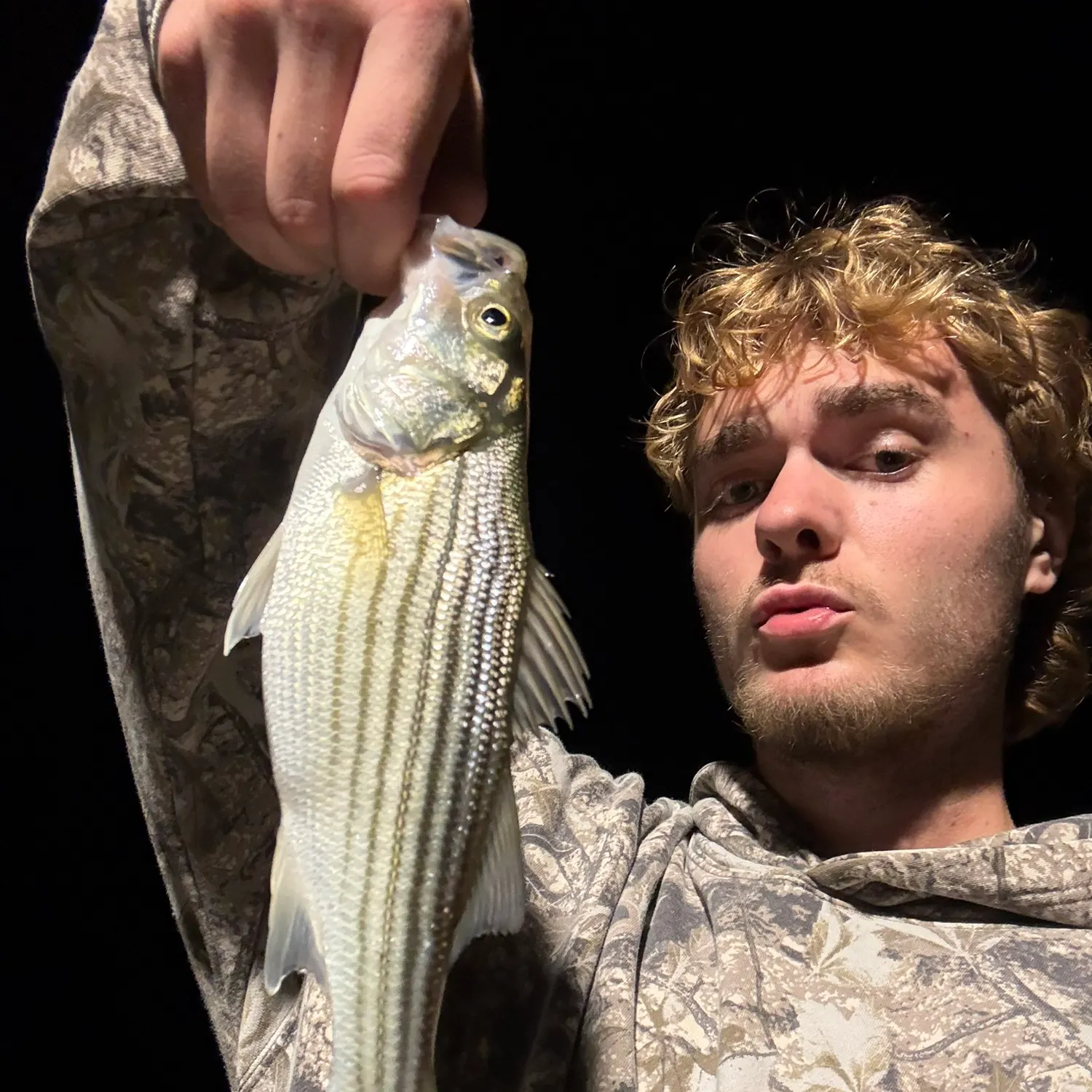 Striped bass caught on Fishbrain