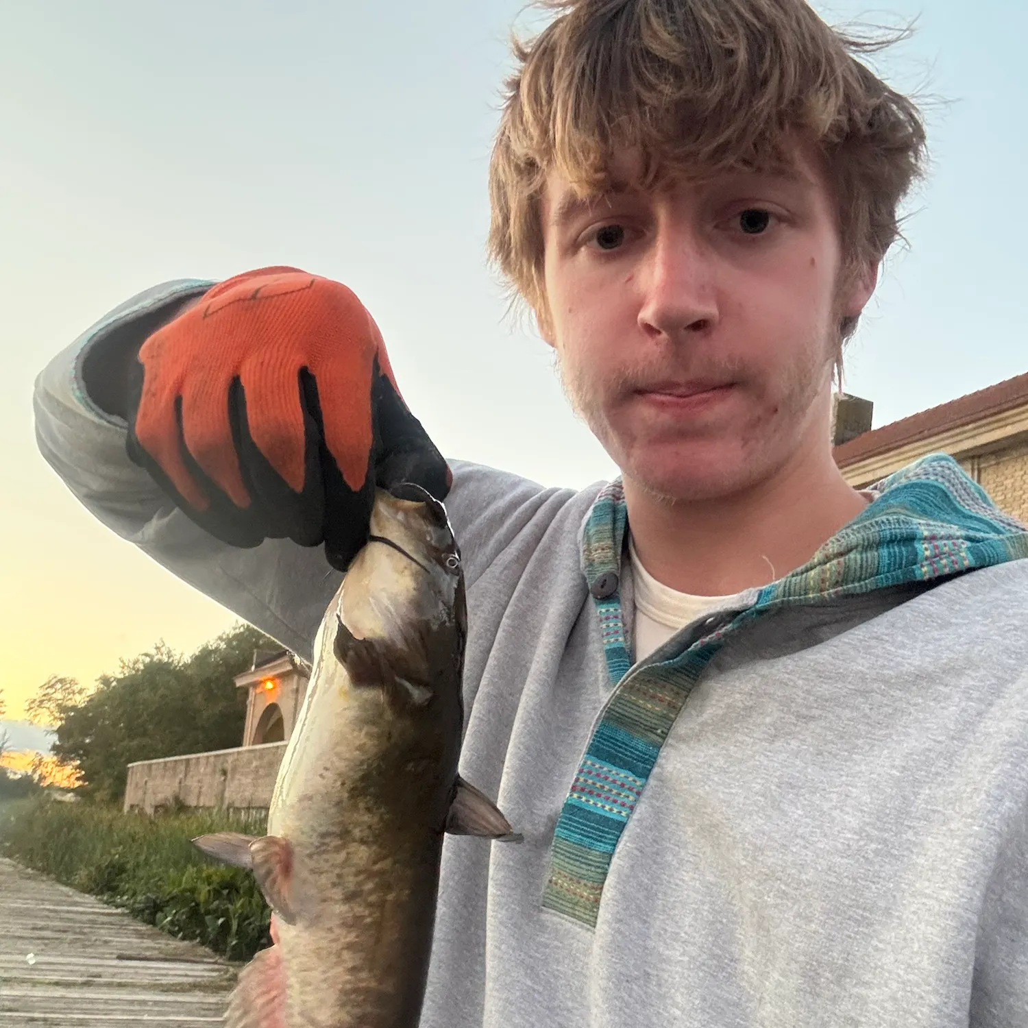Brown bullhead caught on Fishbrain