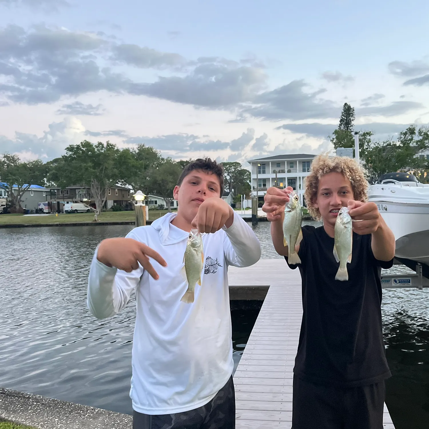 recently logged catches