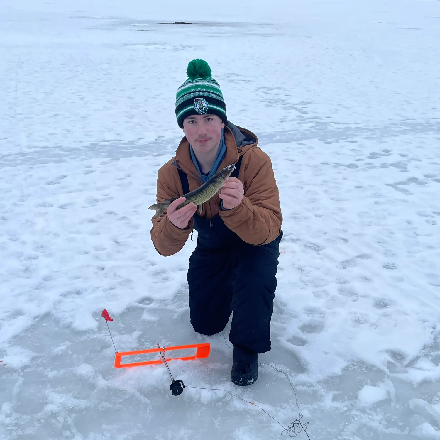 The most recent Chain pickerel catches on Fishbrain