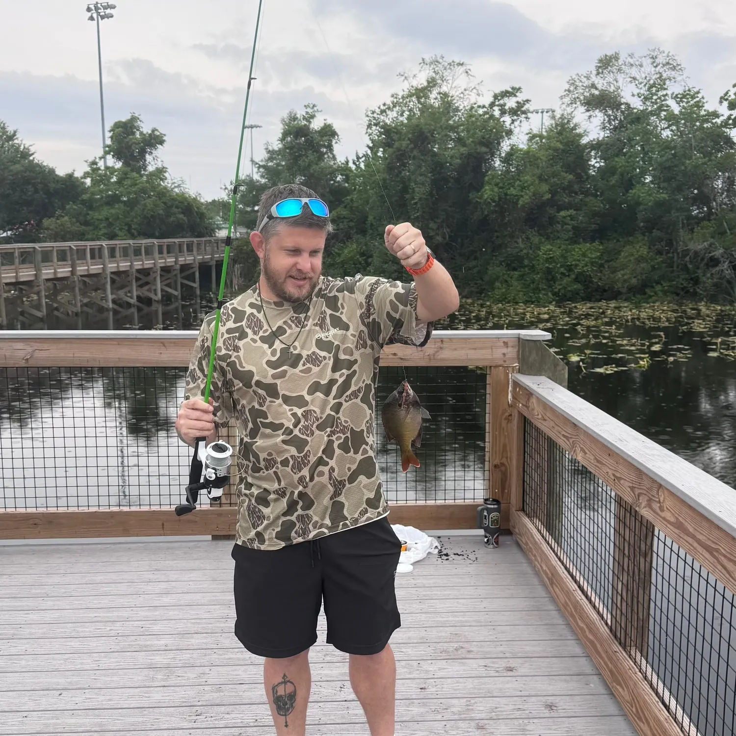 recently logged catches