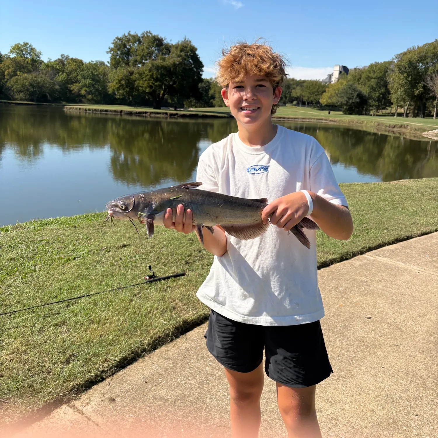 Channel catfish caught on Fishbrain