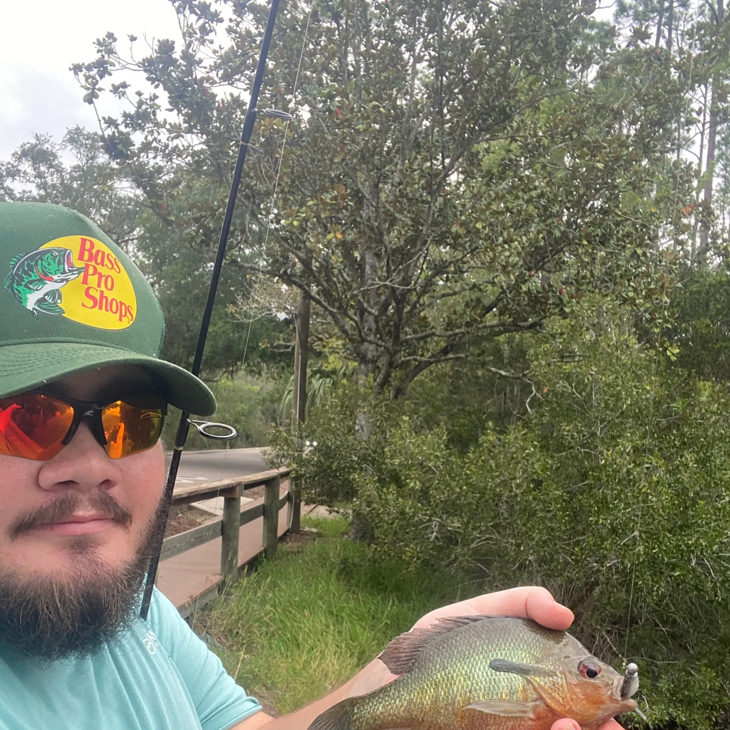 Redbreast sunfish caught on Fishbrain