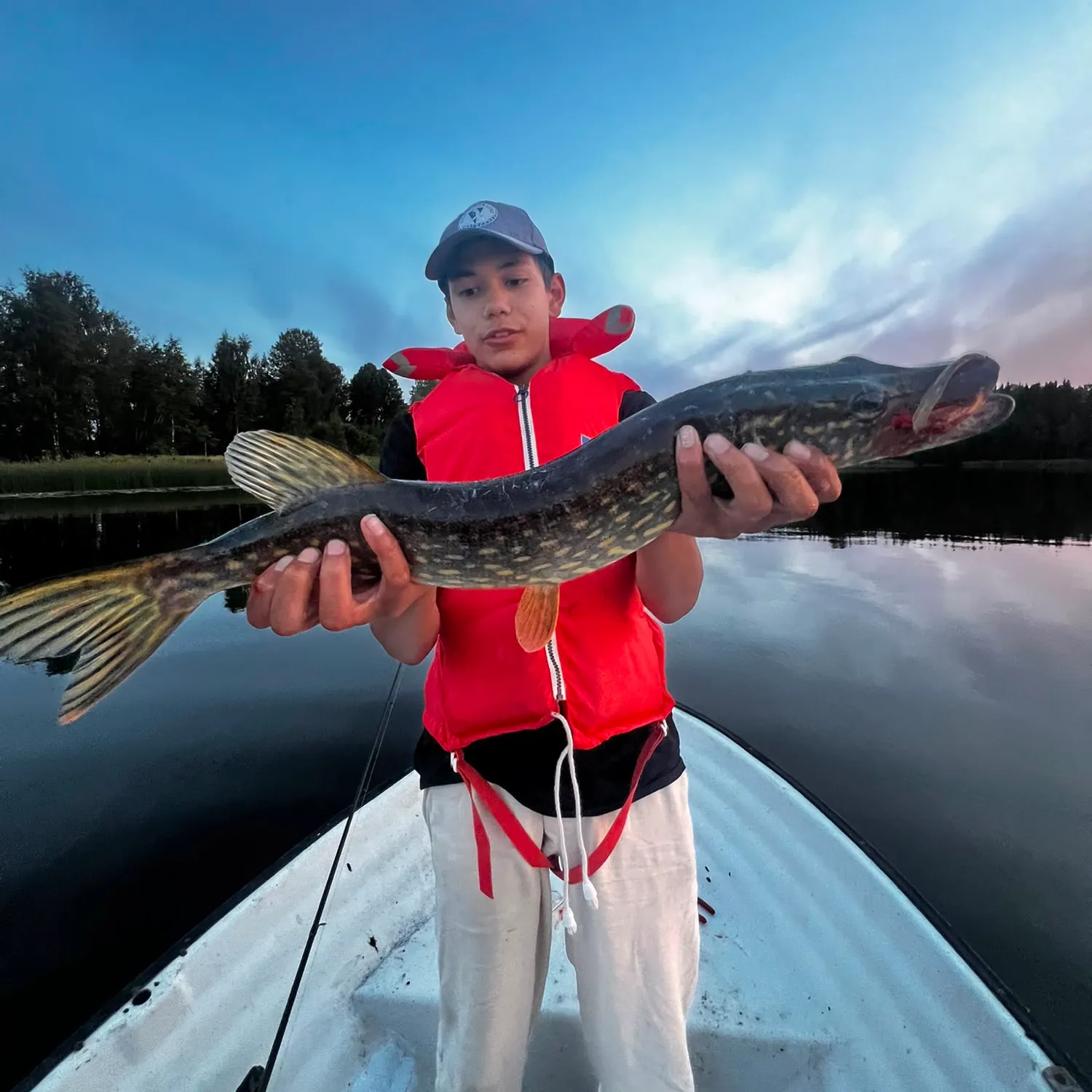 Northern pike caught on Fishbrain