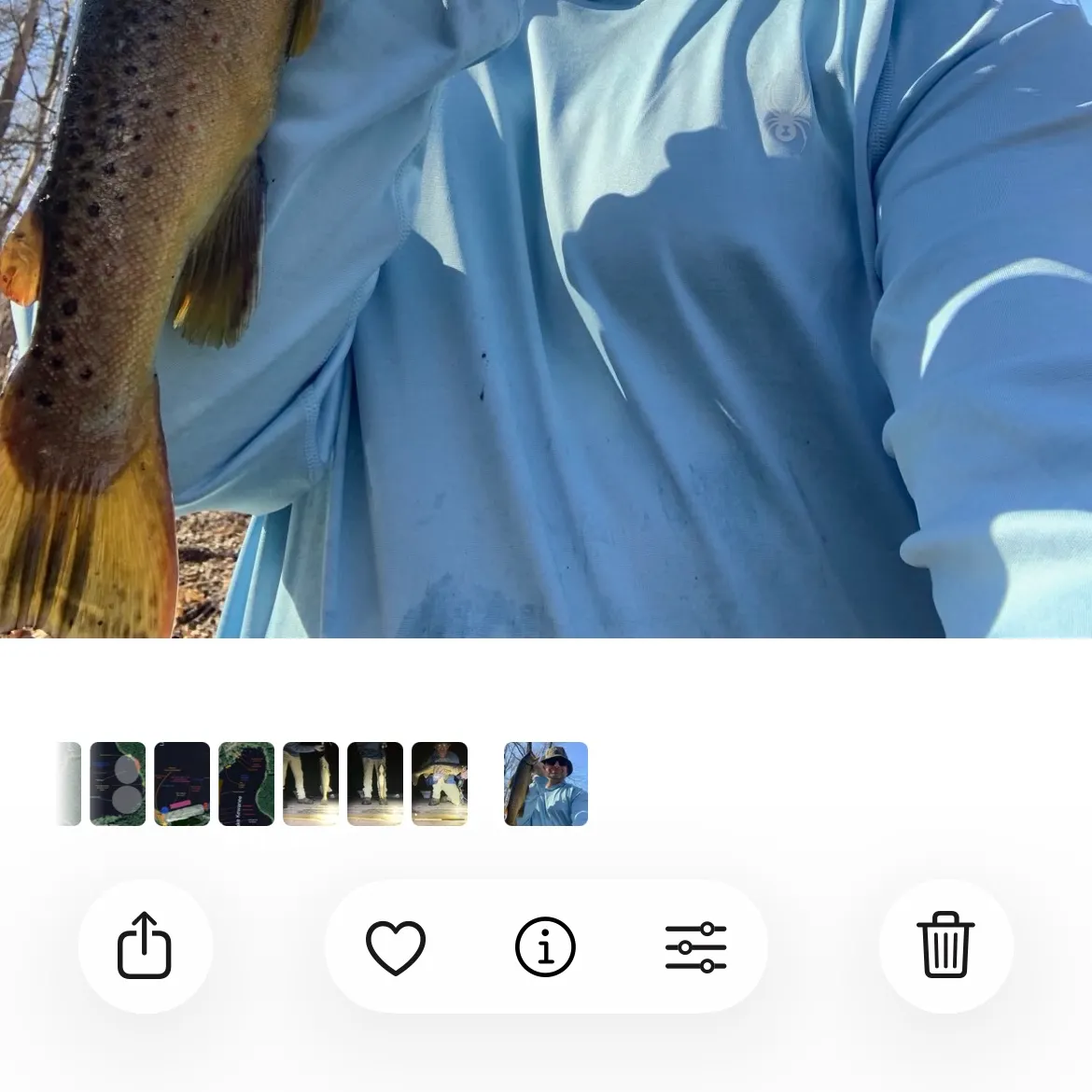 recently logged catches