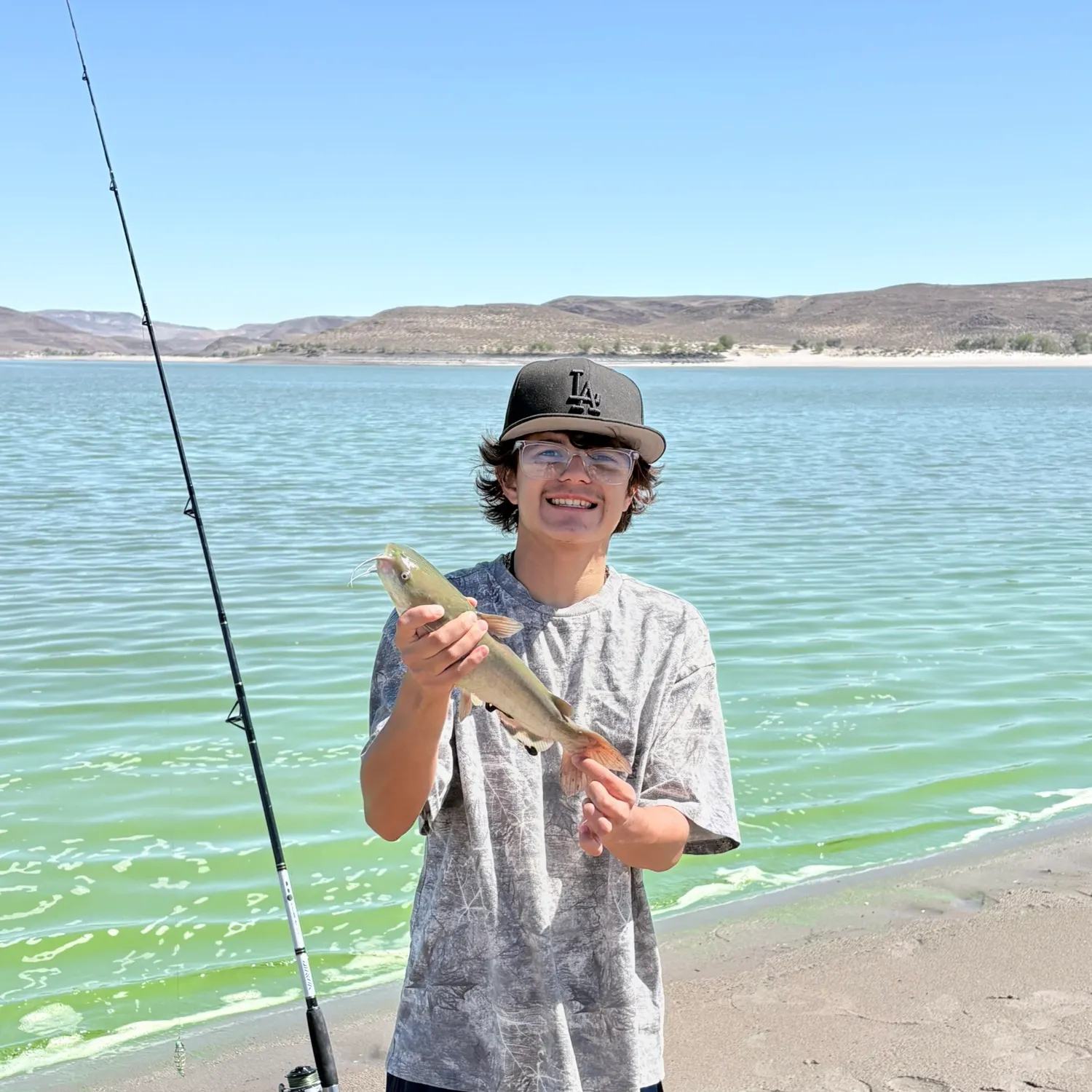 Channel catfish caught on Fishbrain