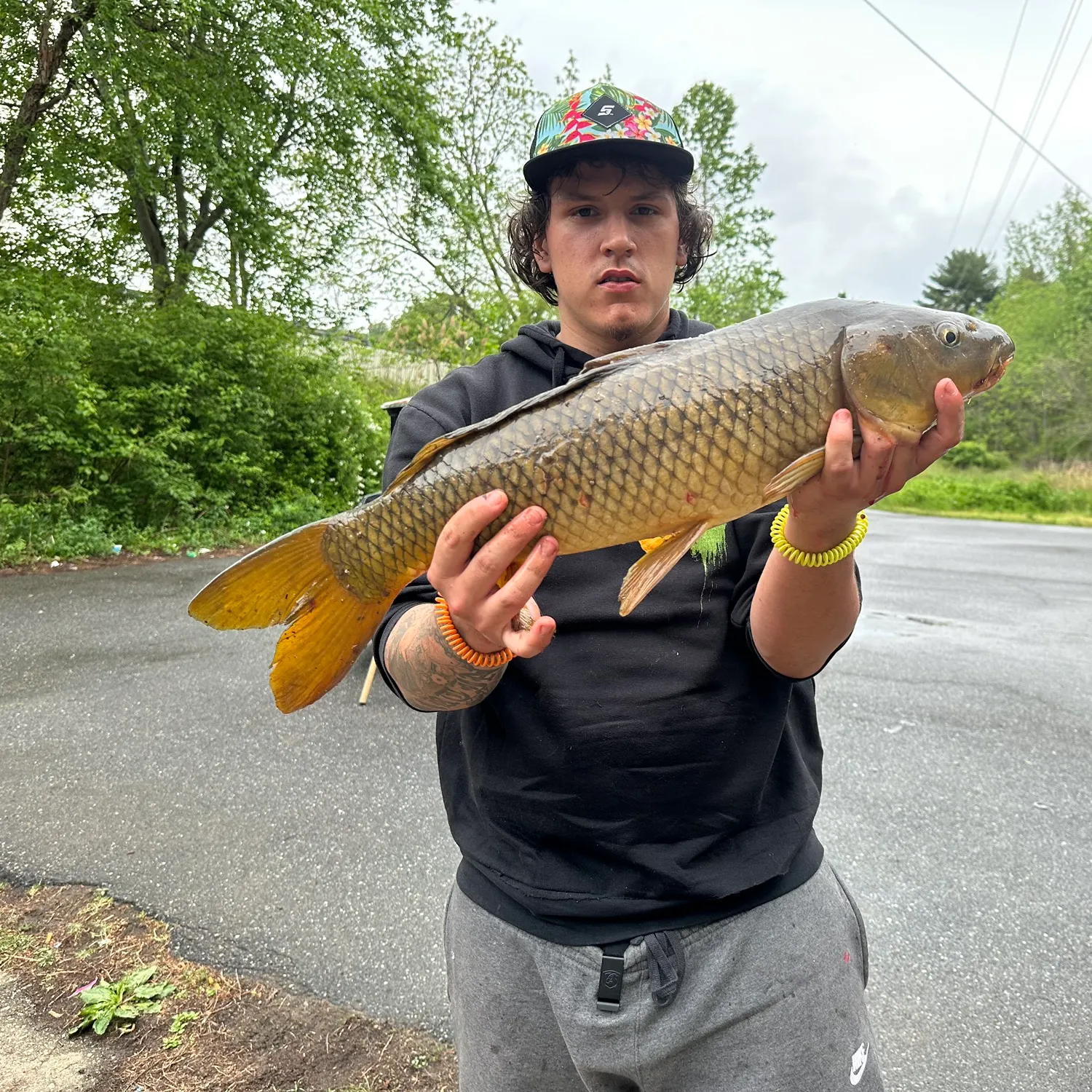 recently logged catches