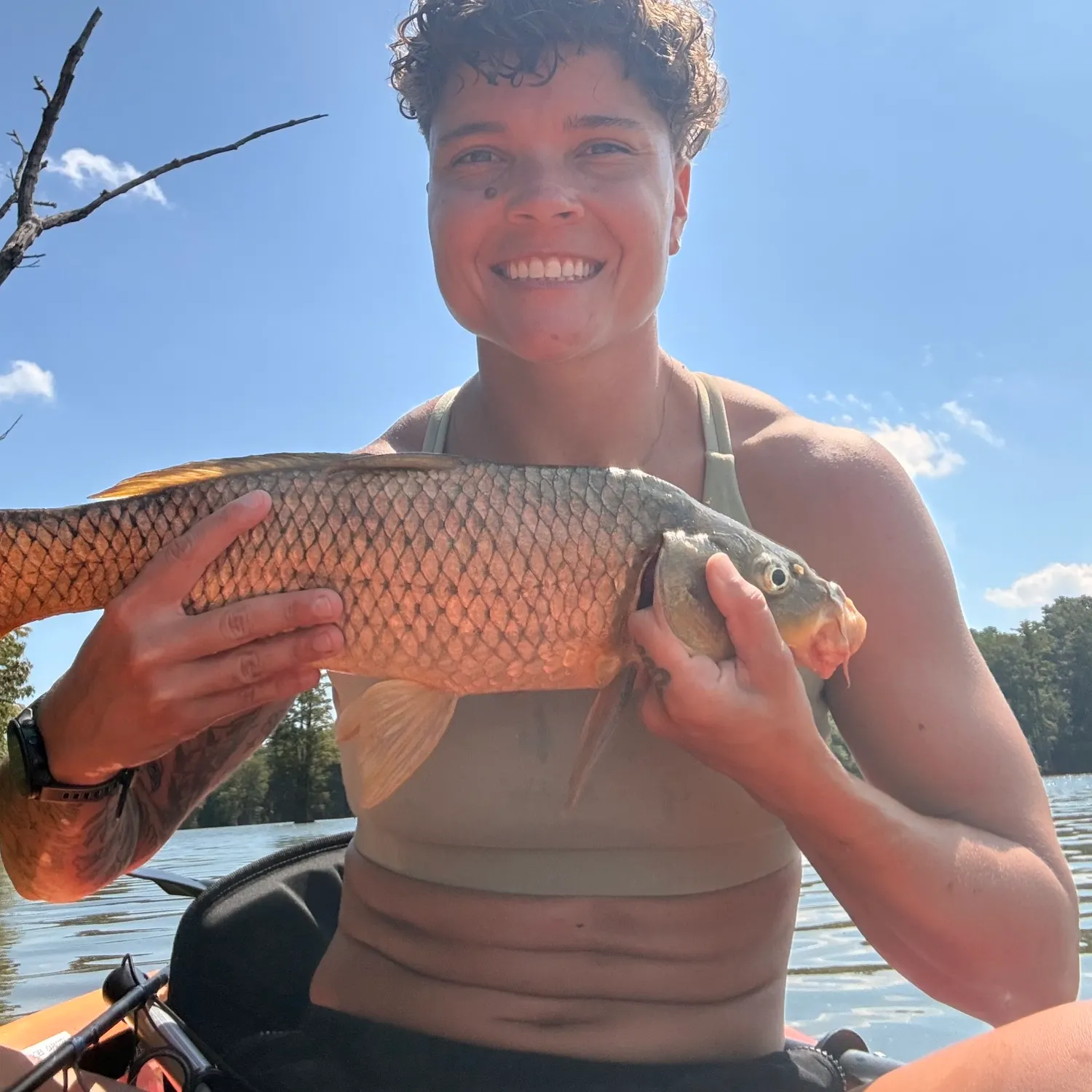Common carp caught on Fishbrain