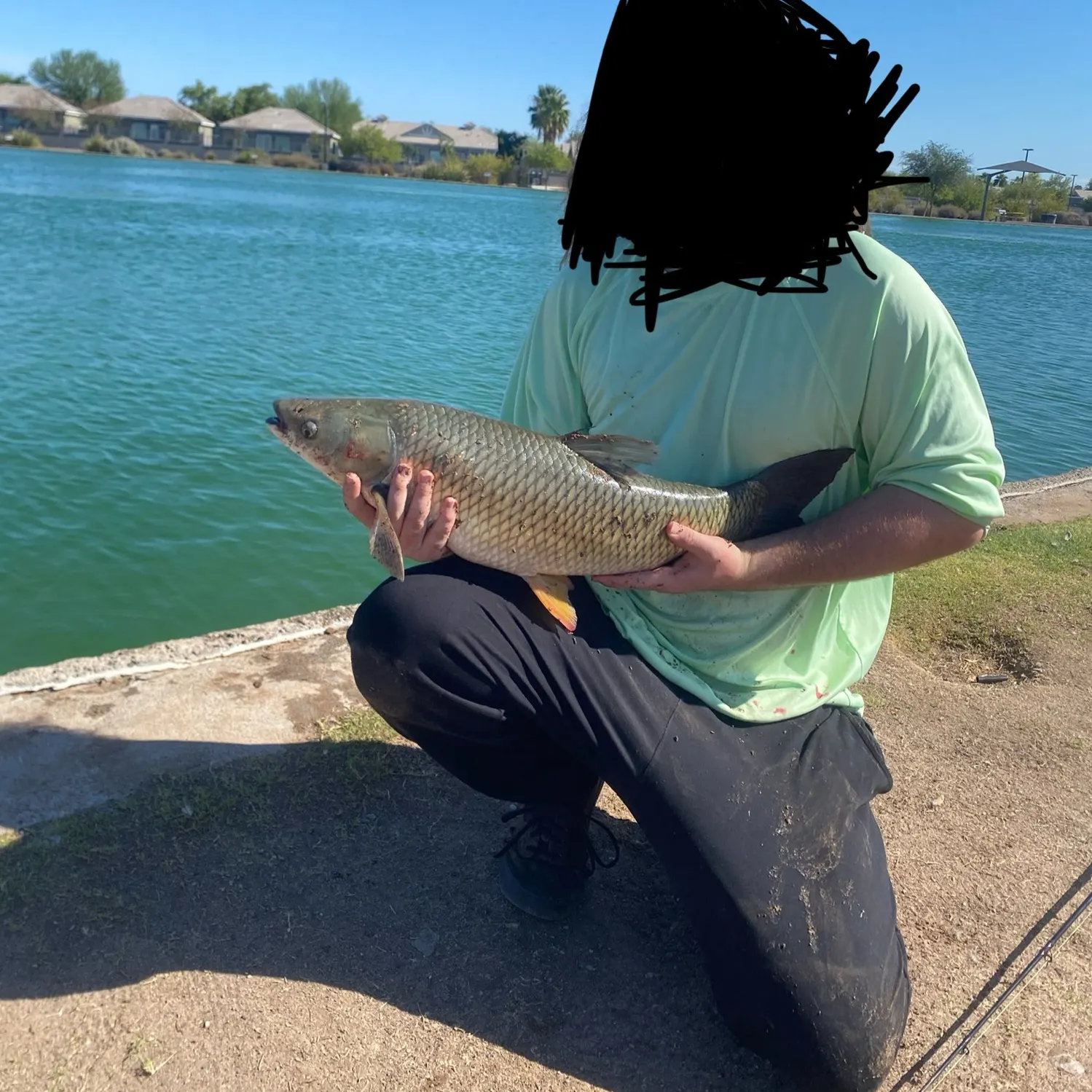 The most recent Grass carp catches on Fishbrain