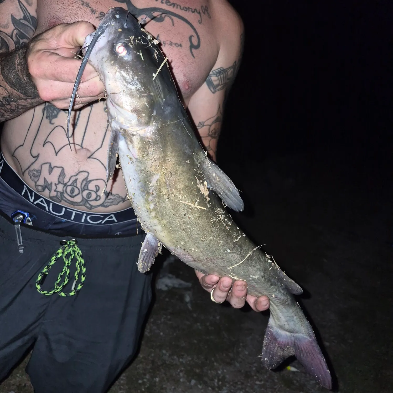 Channel catfish caught on Fishbrain