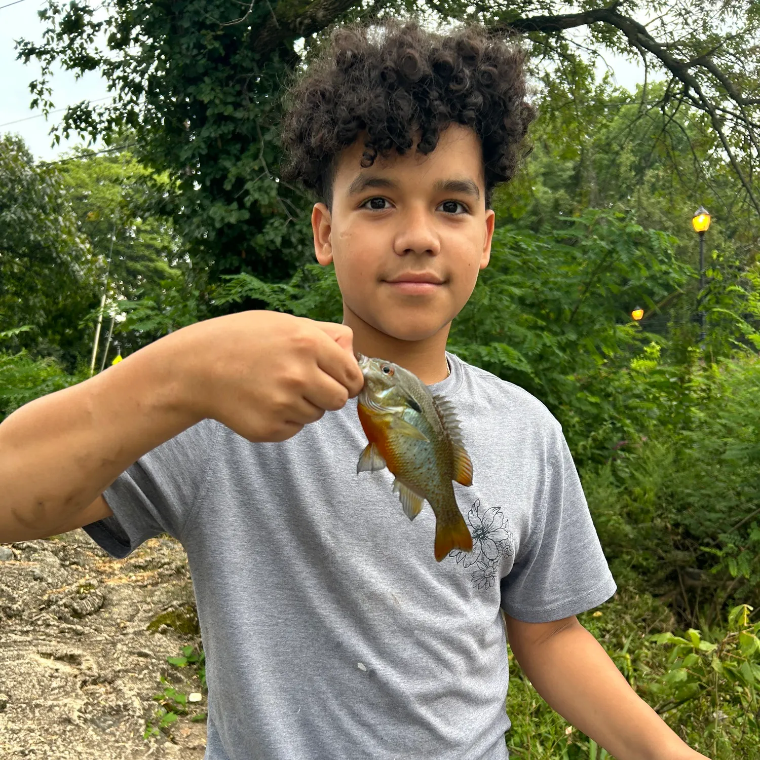 Fish caught on Fishbrain
