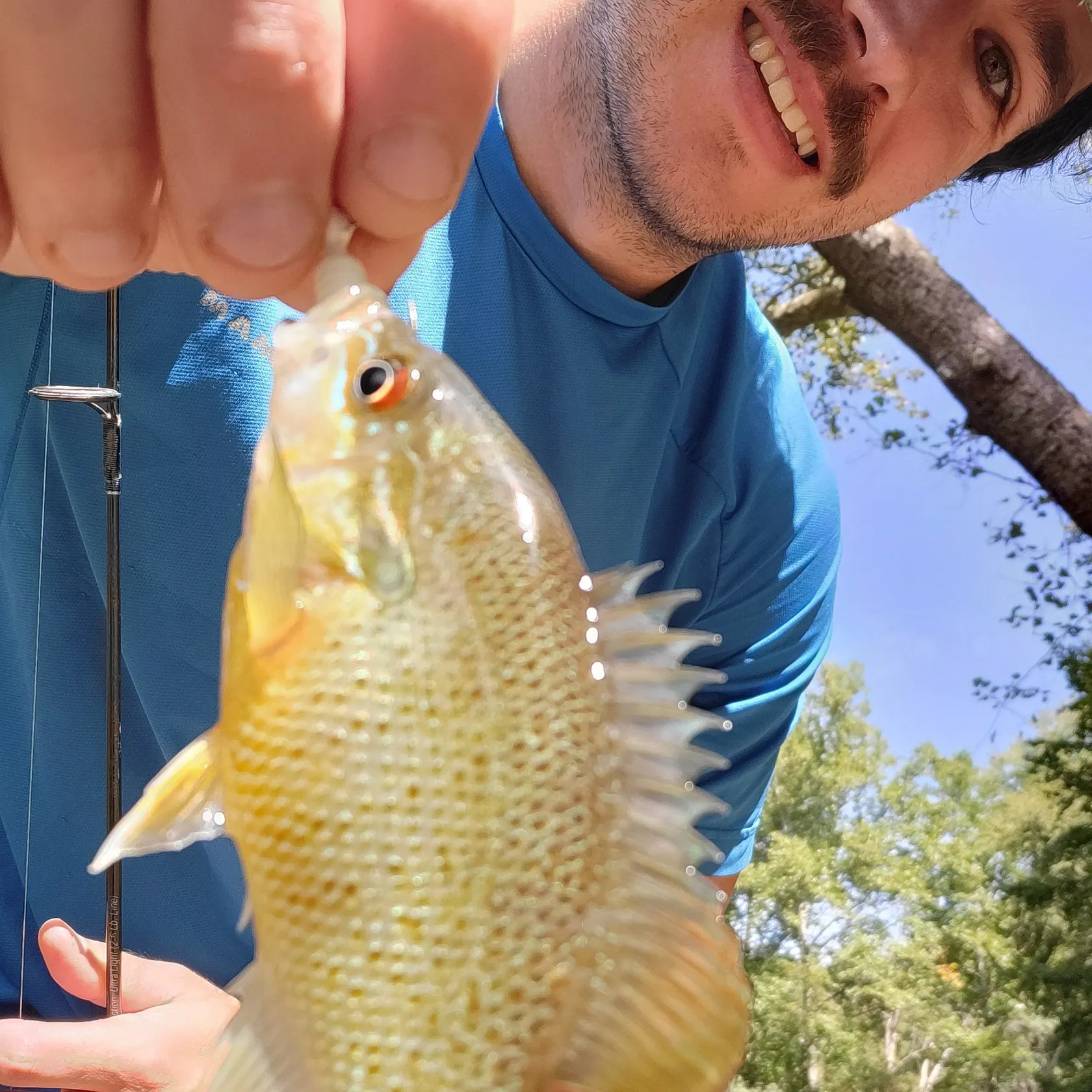 Redbreast sunfish caught on Fishbrain