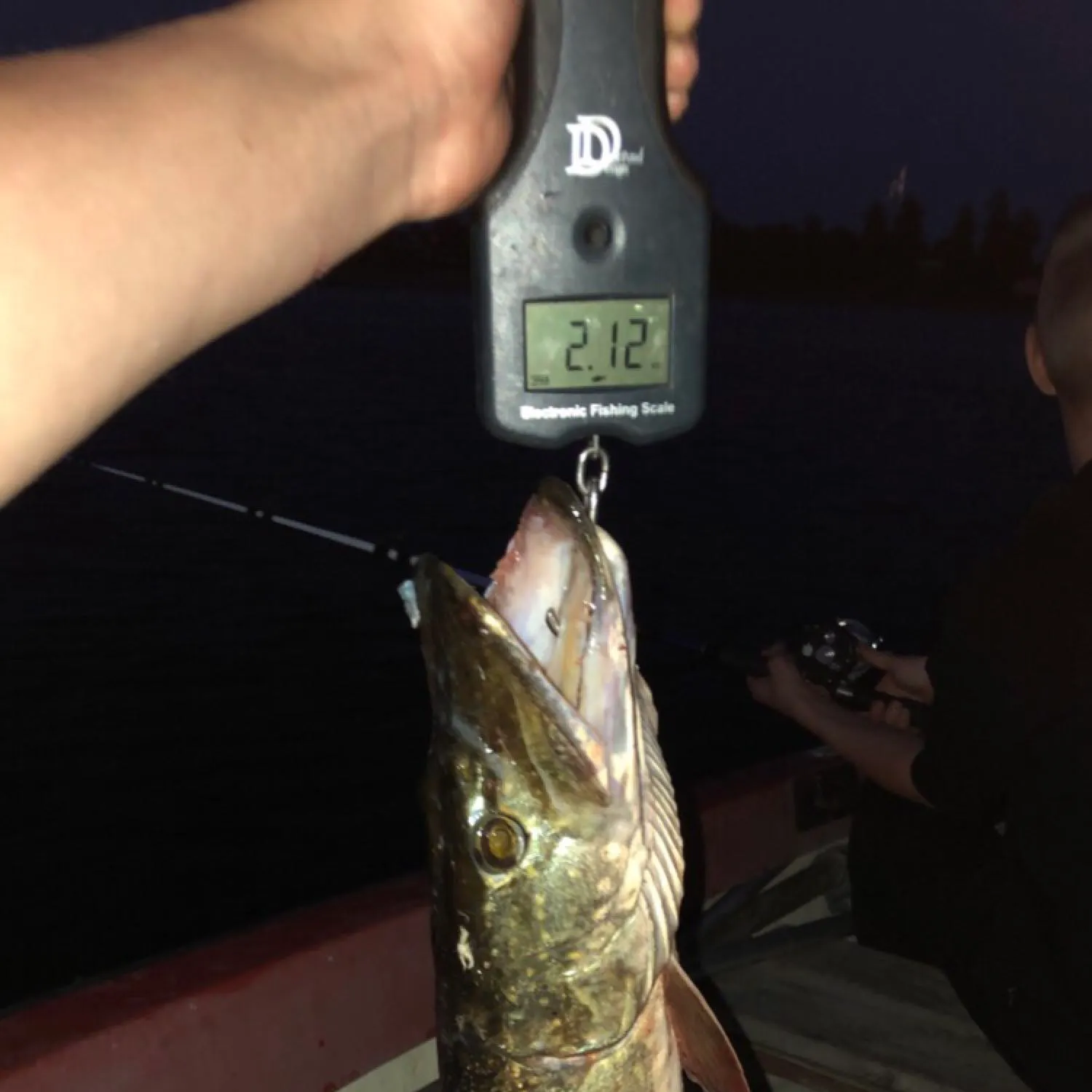 angler catch