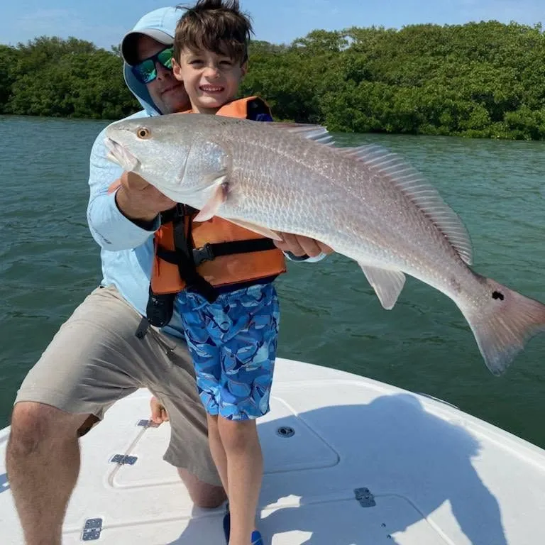 Red drum caught on Fishbrain