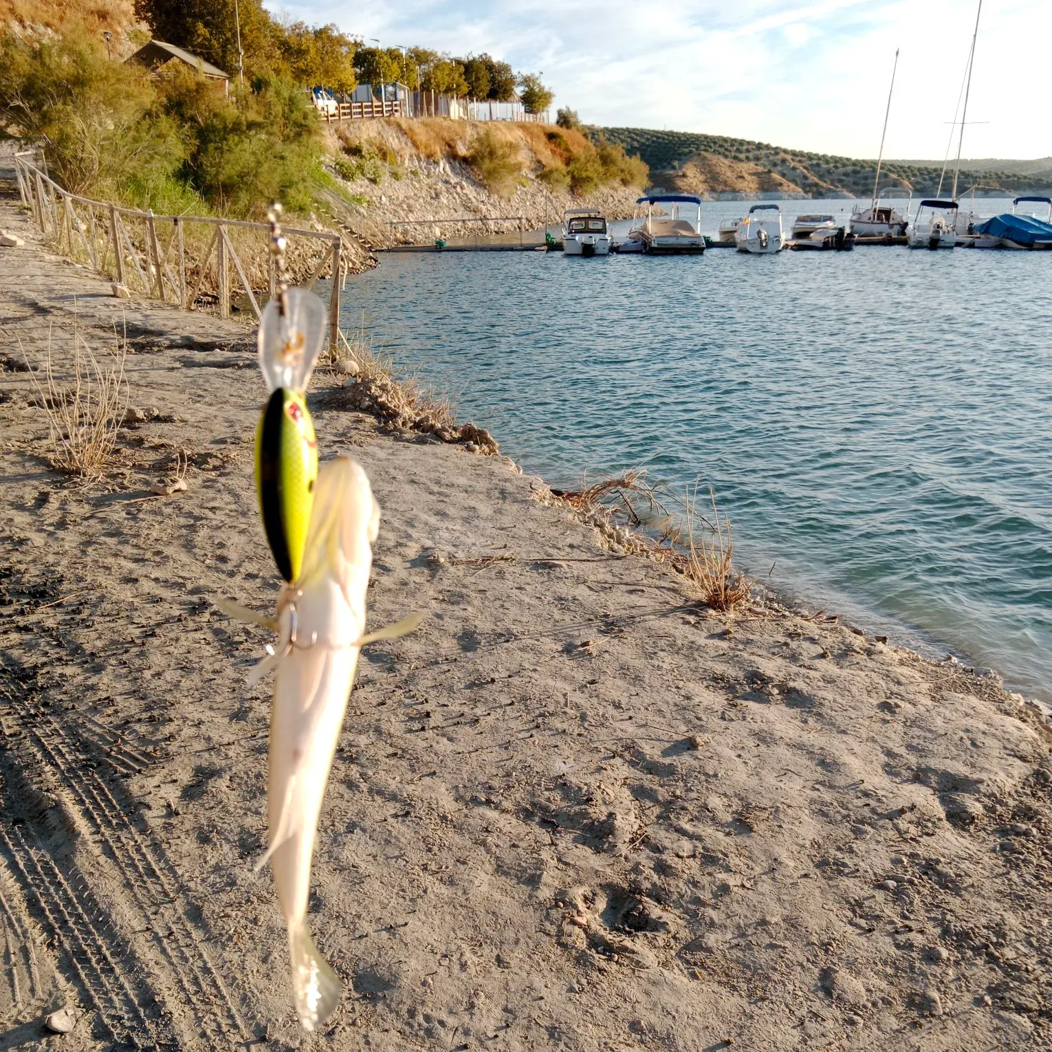Fish caught on Fishbrain