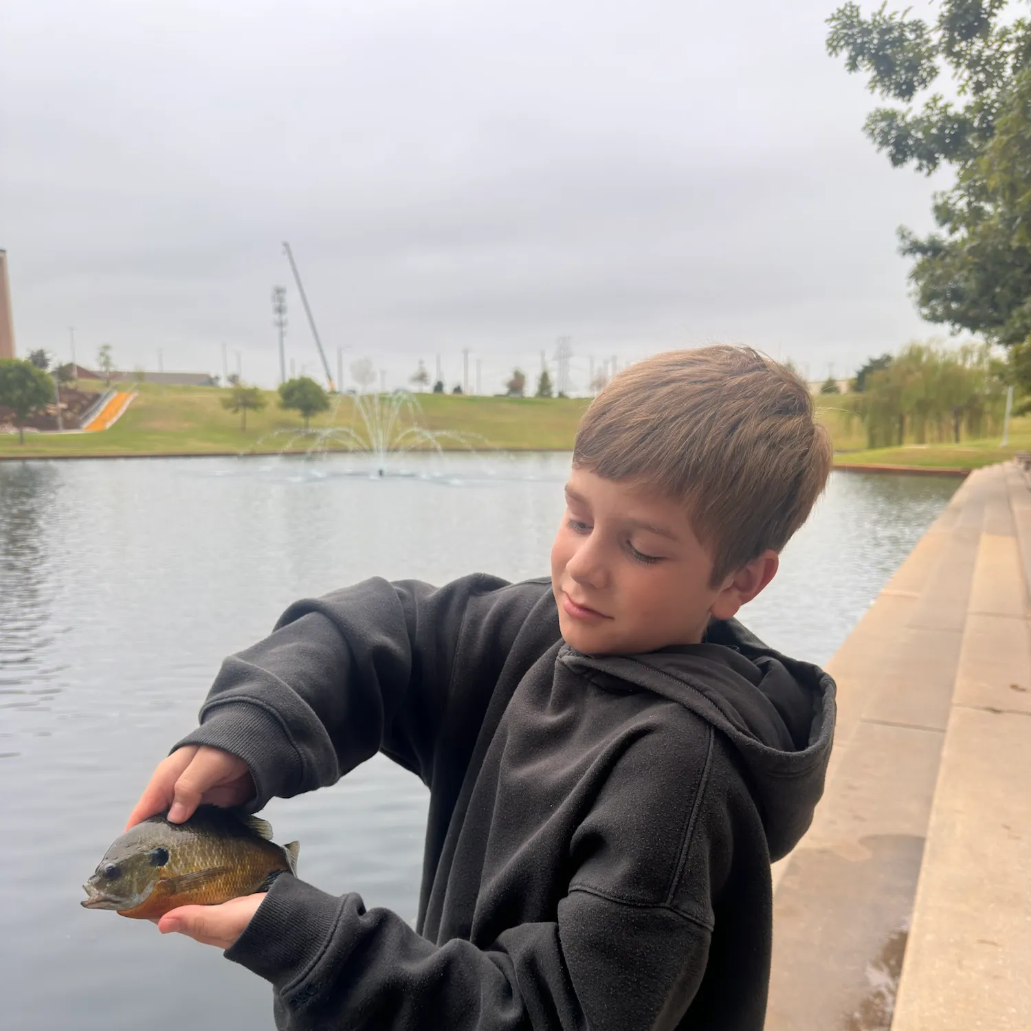 Bluegill caught on Fishbrain