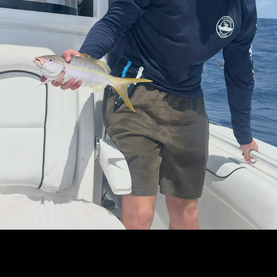 The most recent Yellowtail snapper catches on Fishbrain
