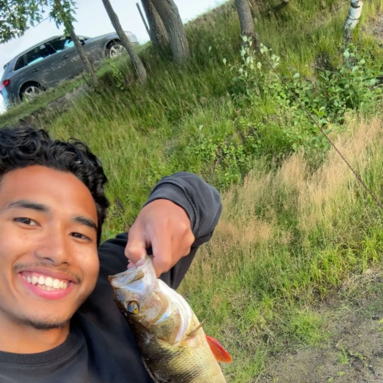 European perch caught on Fishbrain