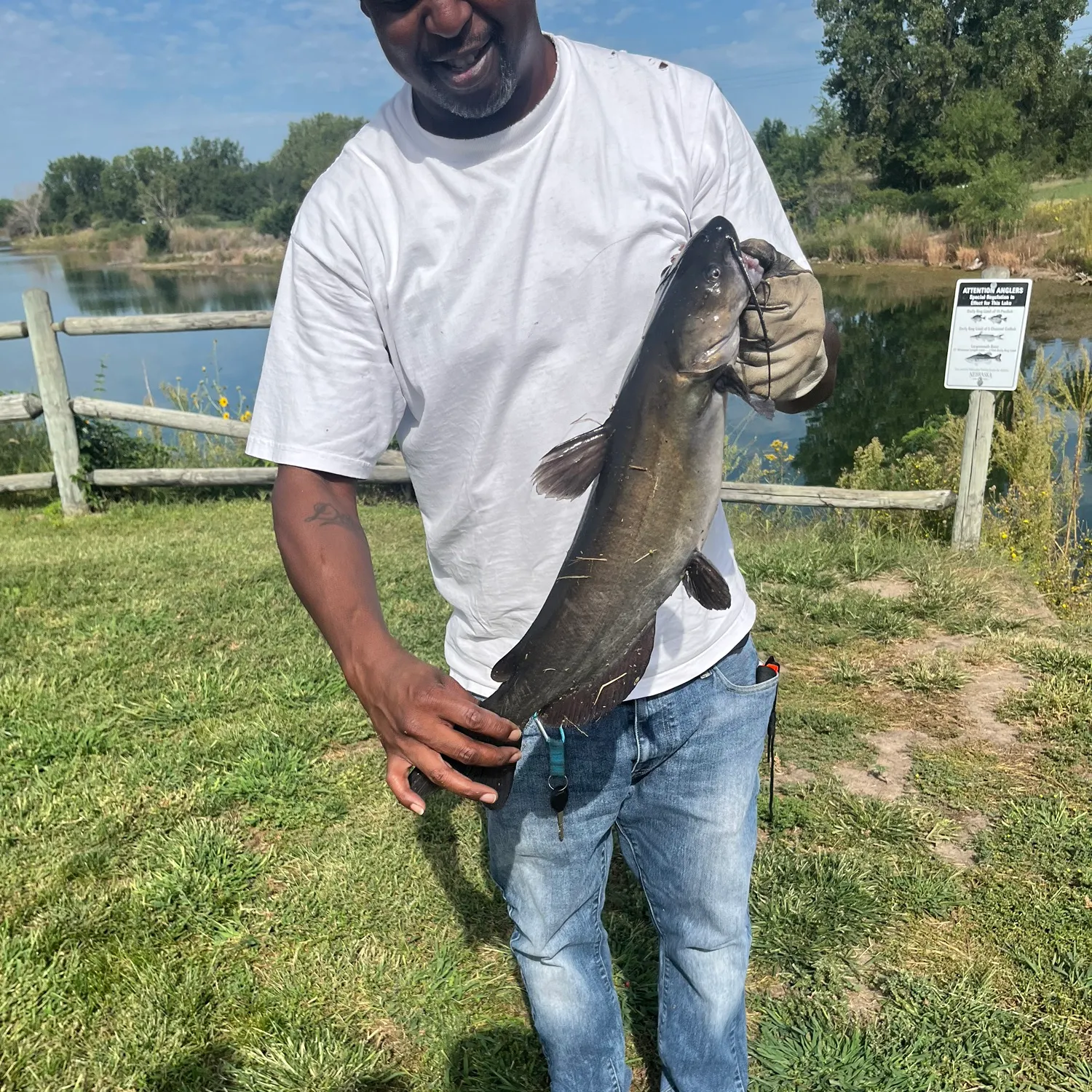 Channel catfish caught on Fishbrain