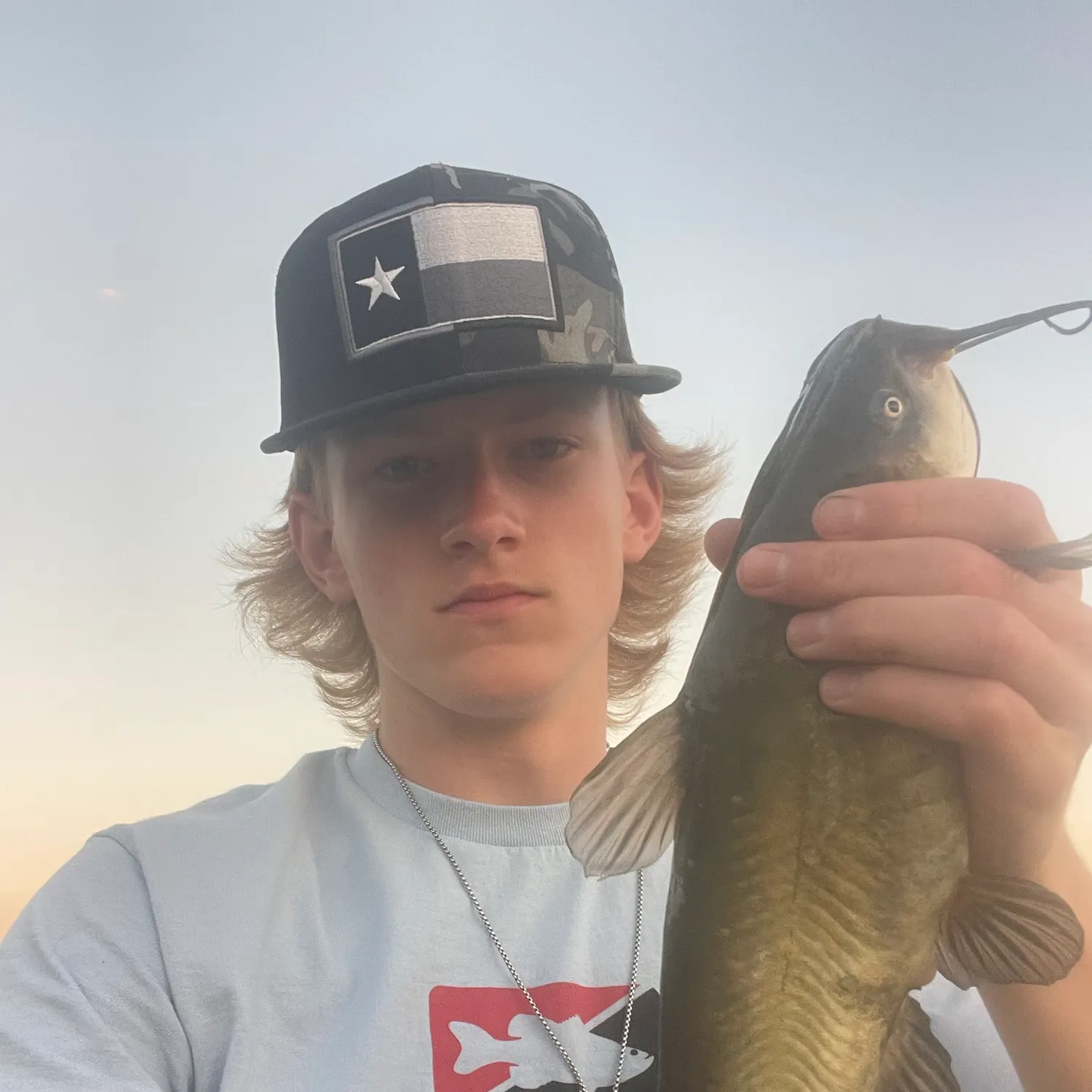 Black bullhead caught on Fishbrain