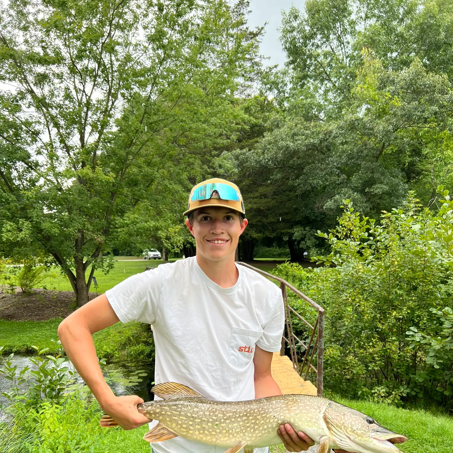 Northern pike caught on Fishbrain