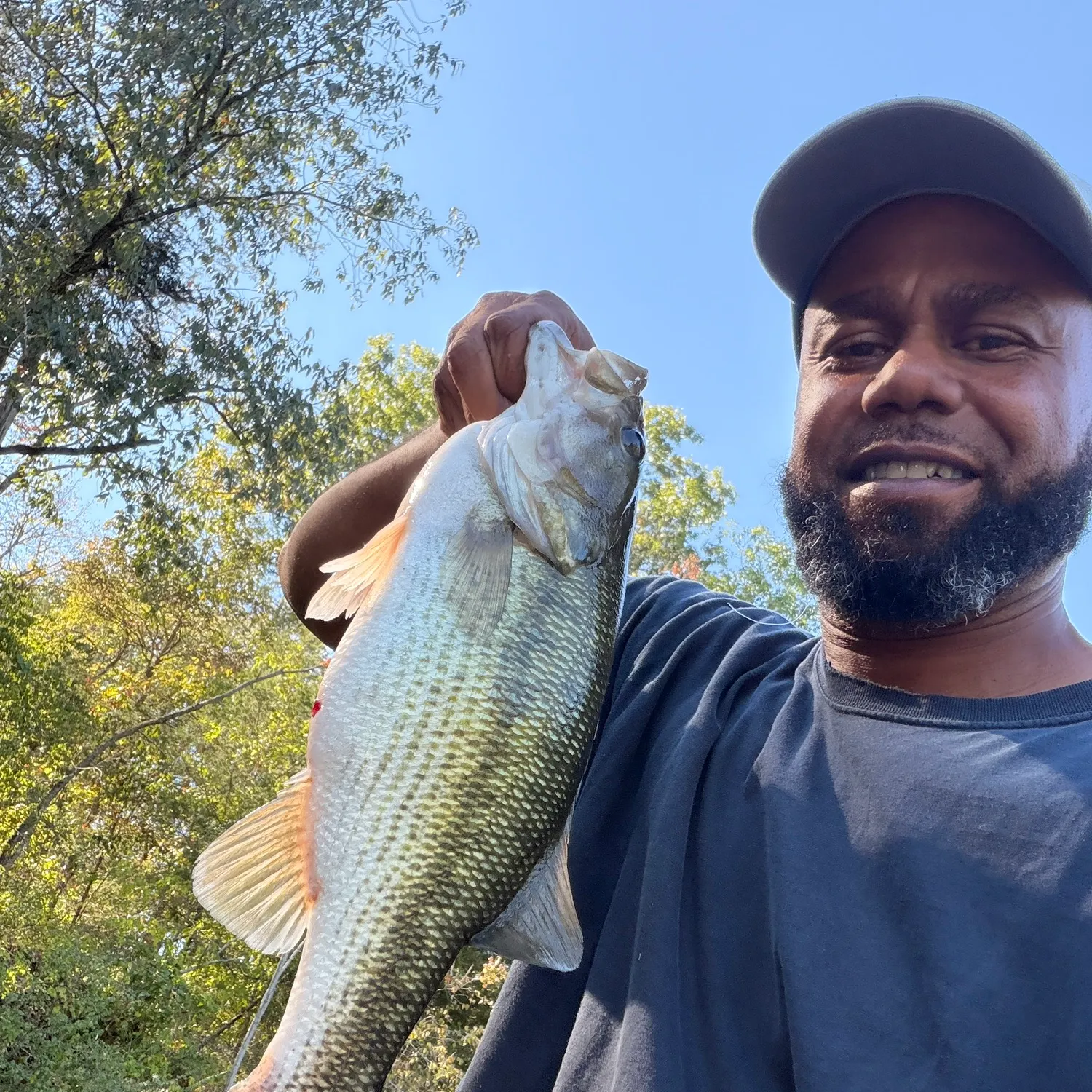 Redeye bass caught on Fishbrain
