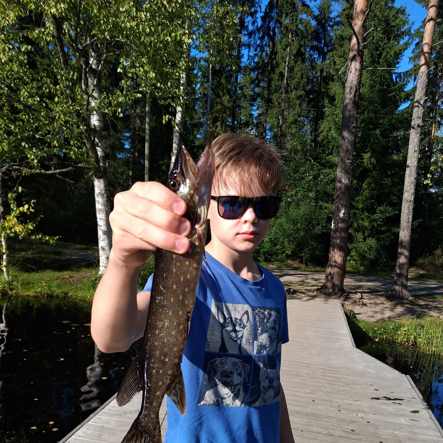 Northern pike caught on Fishbrain