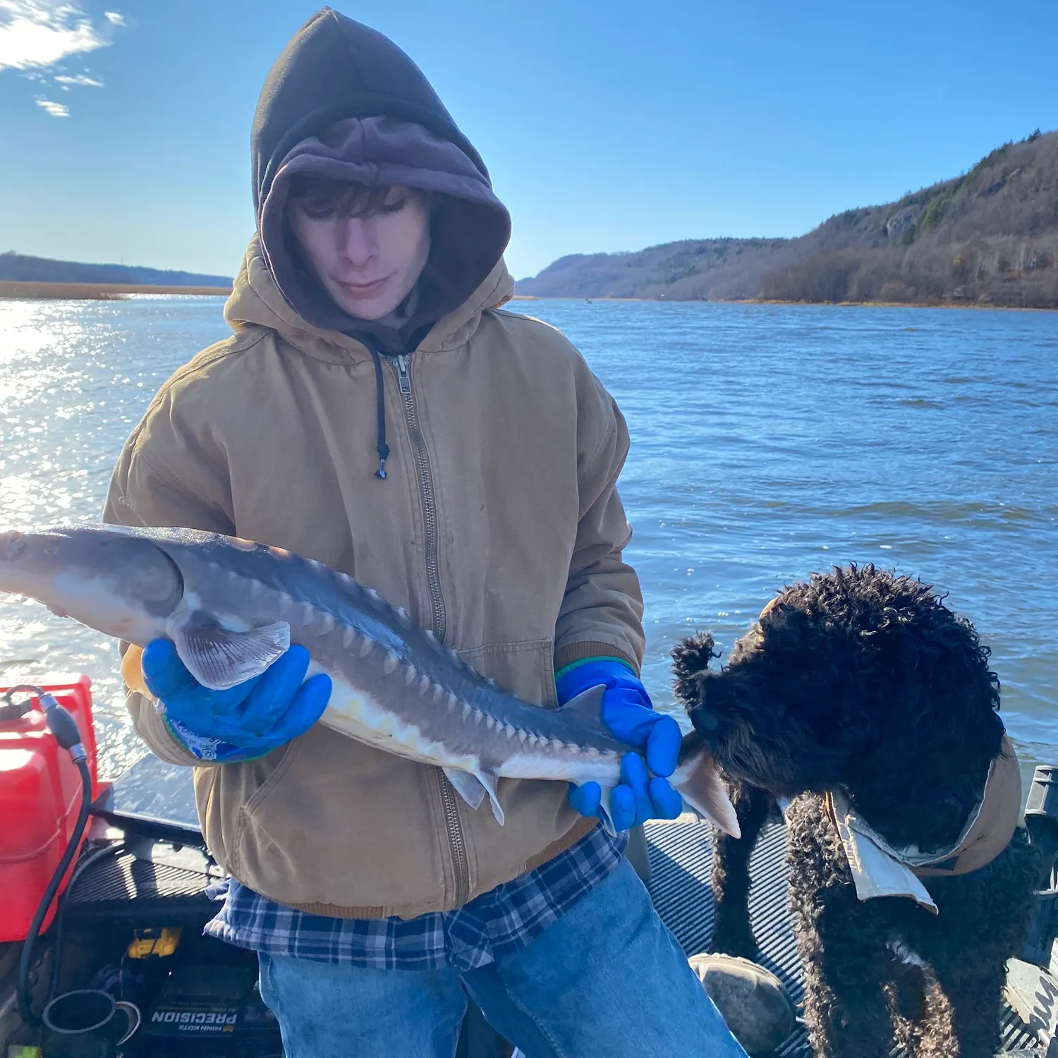 The most recent Shortnose sturgeon catches on Fishbrain