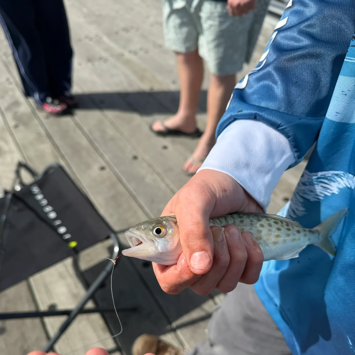 Eastern Australian salmon caught on Fishbrain