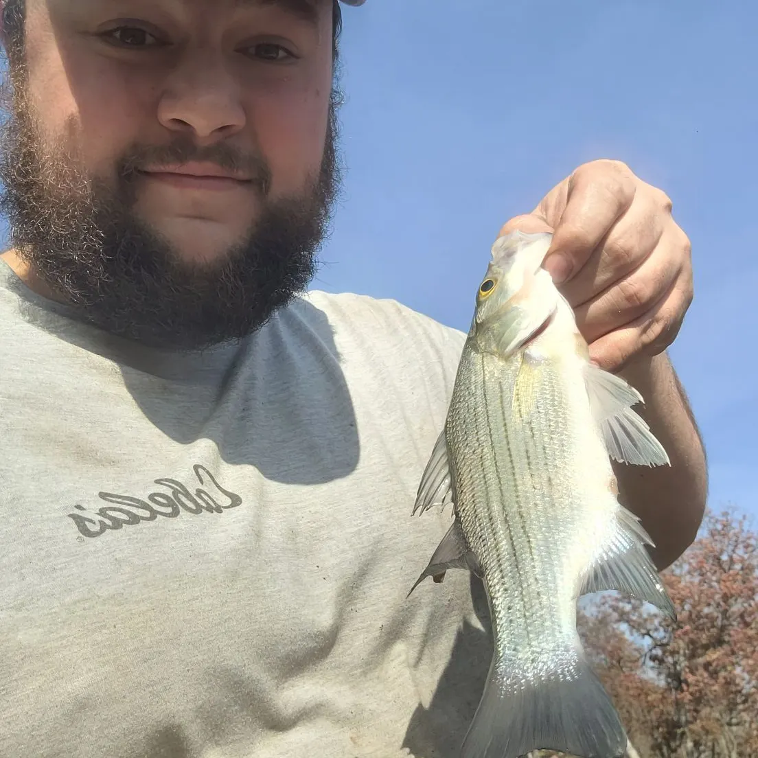 angler catch