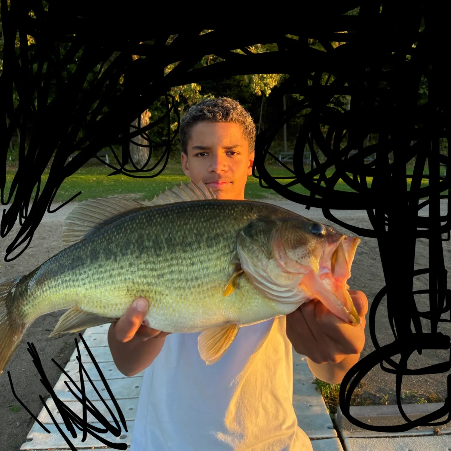 Largemouth bass caught on Fishbrain