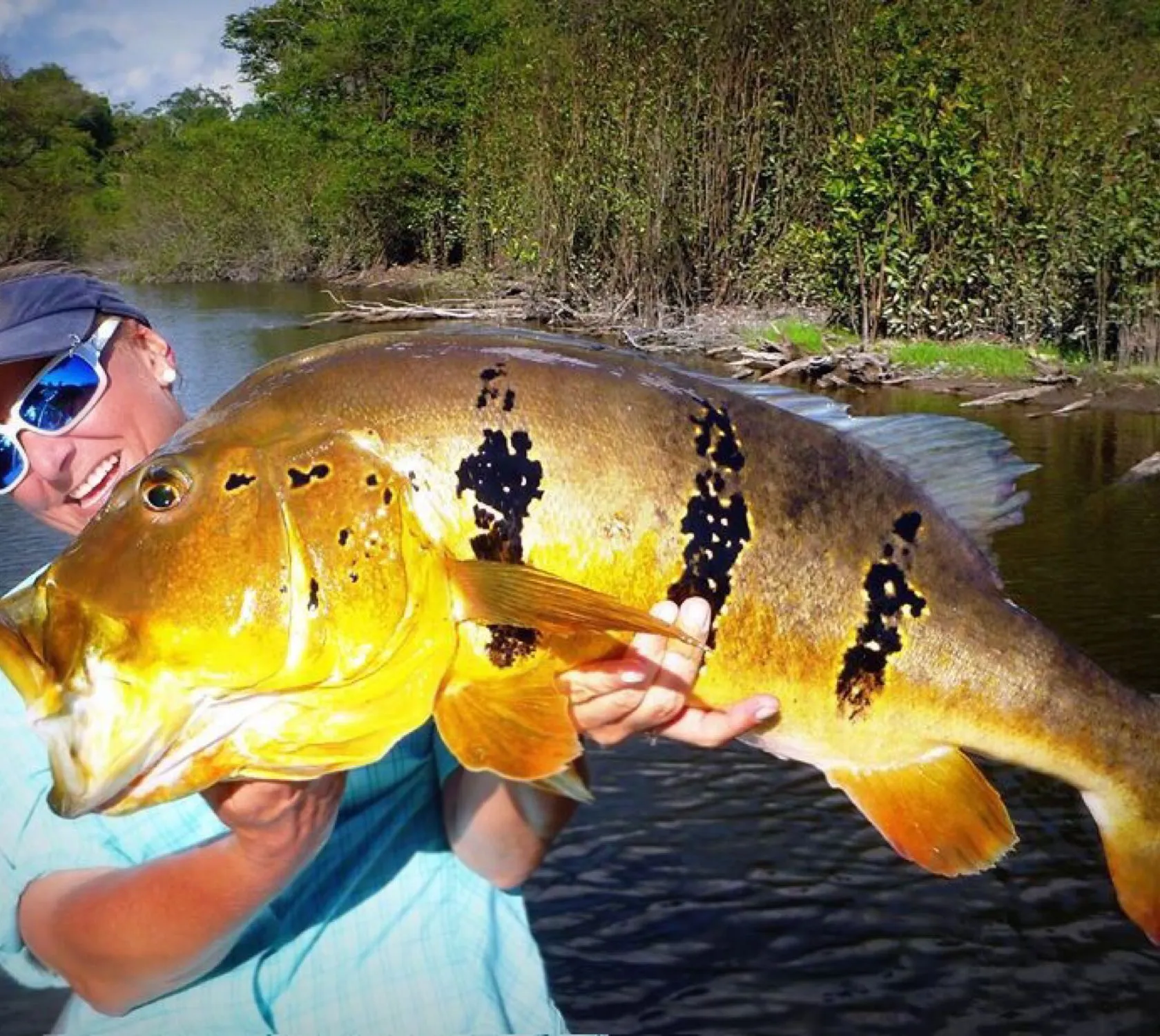 The most popular recent Speckled peacock bass catch on Fishbrain