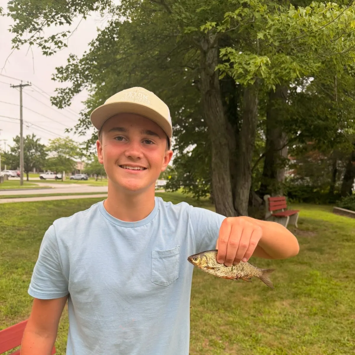 Pumpkinseed caught on Fishbrain