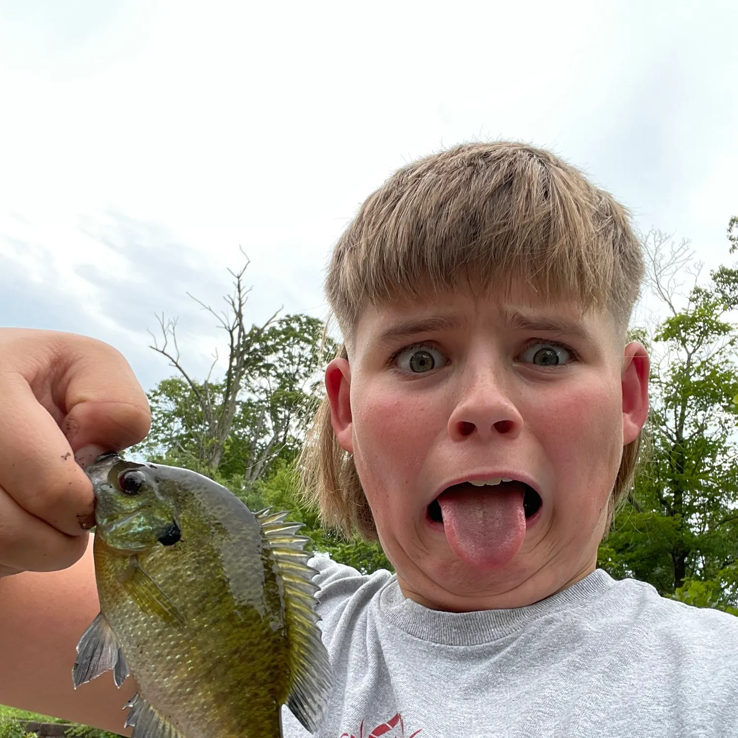 Bluegill caught on Fishbrain