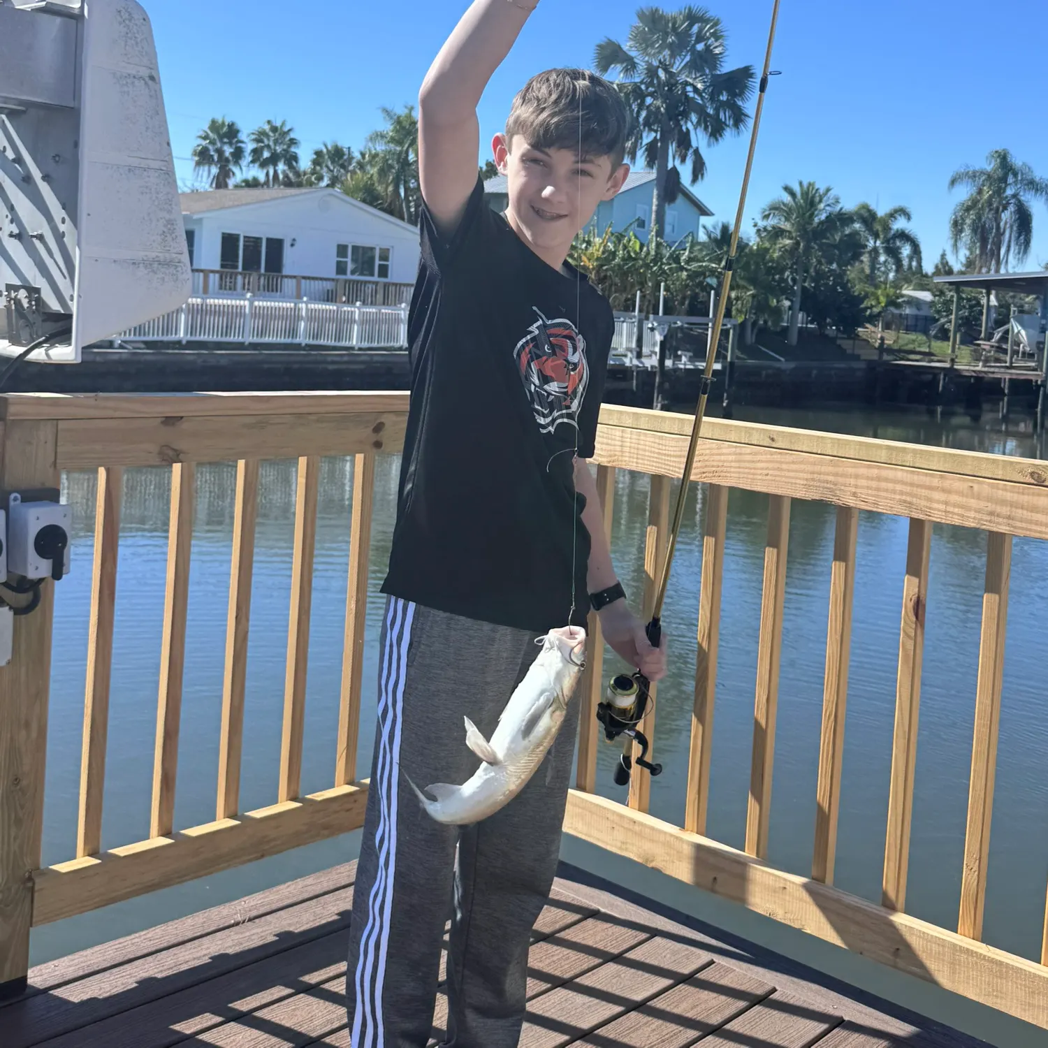 The most recent Hardhead sea catfish catches on Fishbrain