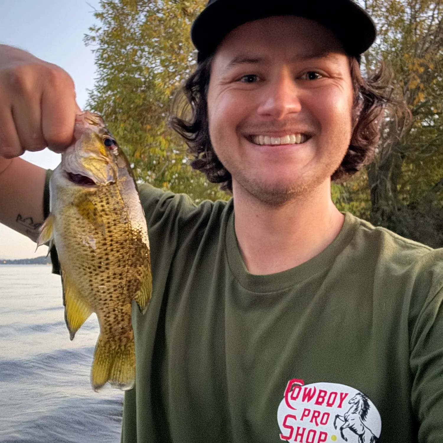 Rock bass caught on Fishbrain