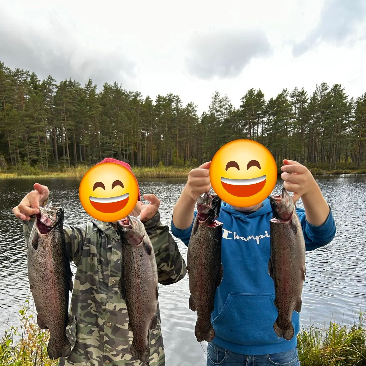 Rainbow trout caught on Fishbrain