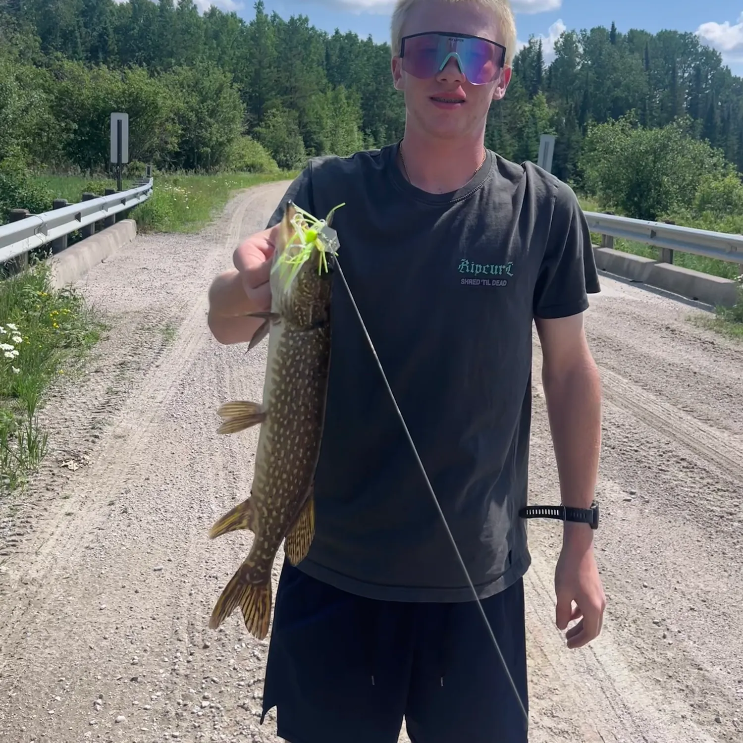 recently logged catches