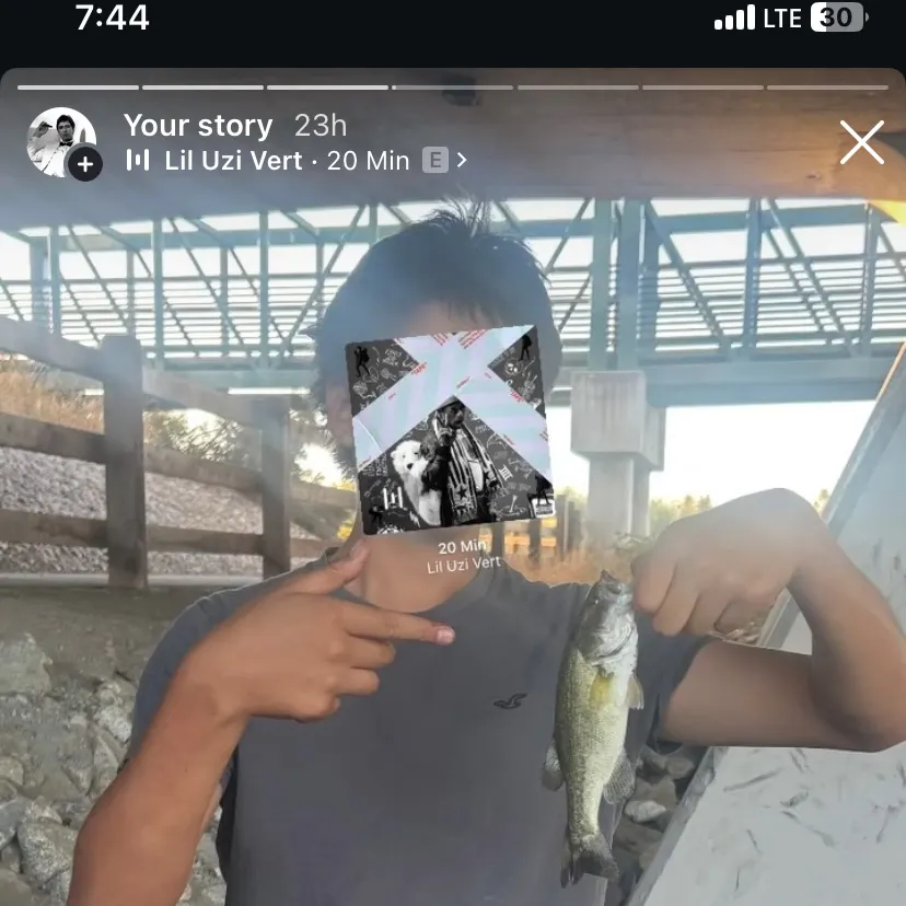 Largemouth bass caught on Fishbrain