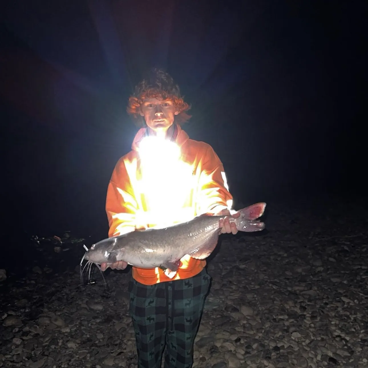 Channel catfish caught on Fishbrain