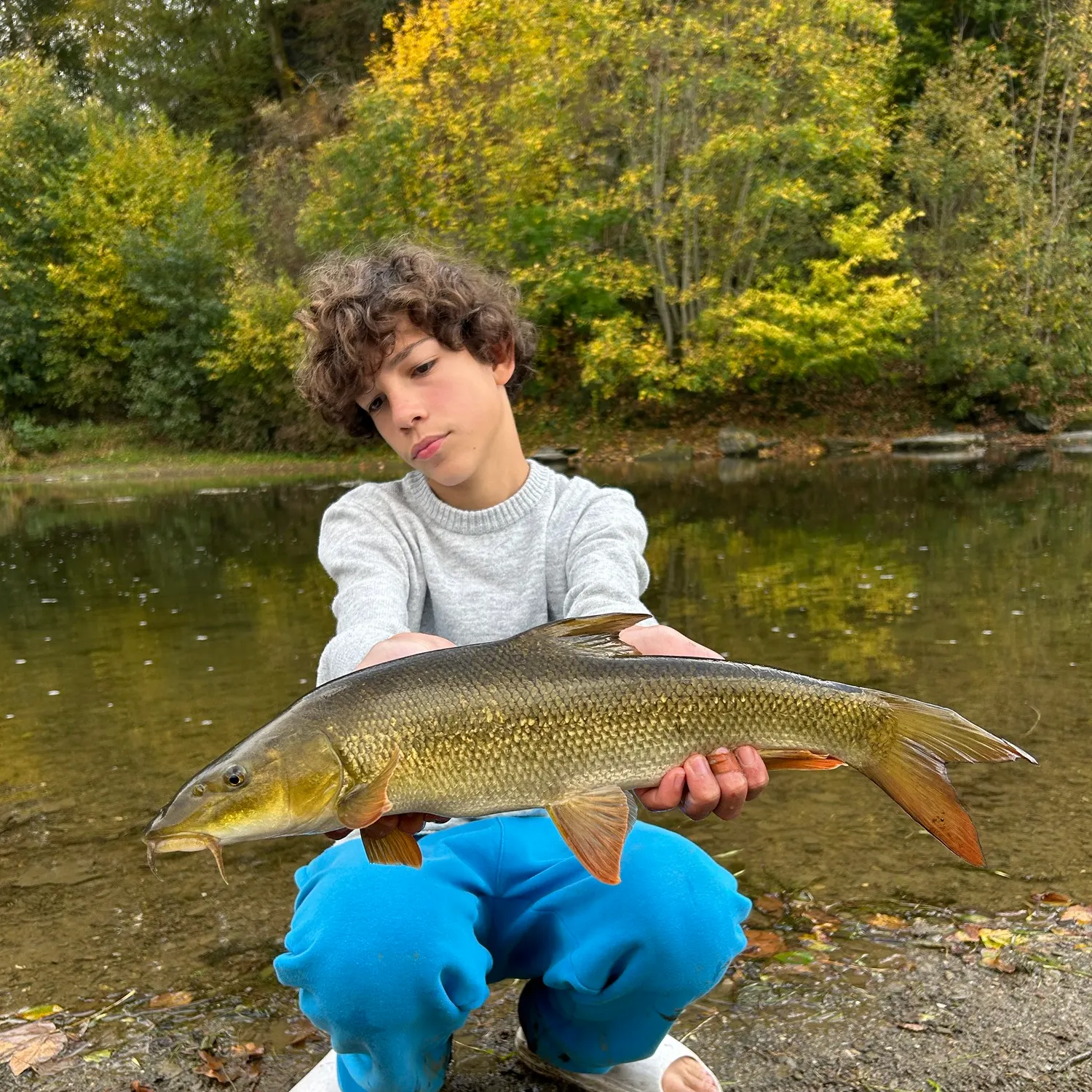 Common barbel caught on Fishbrain