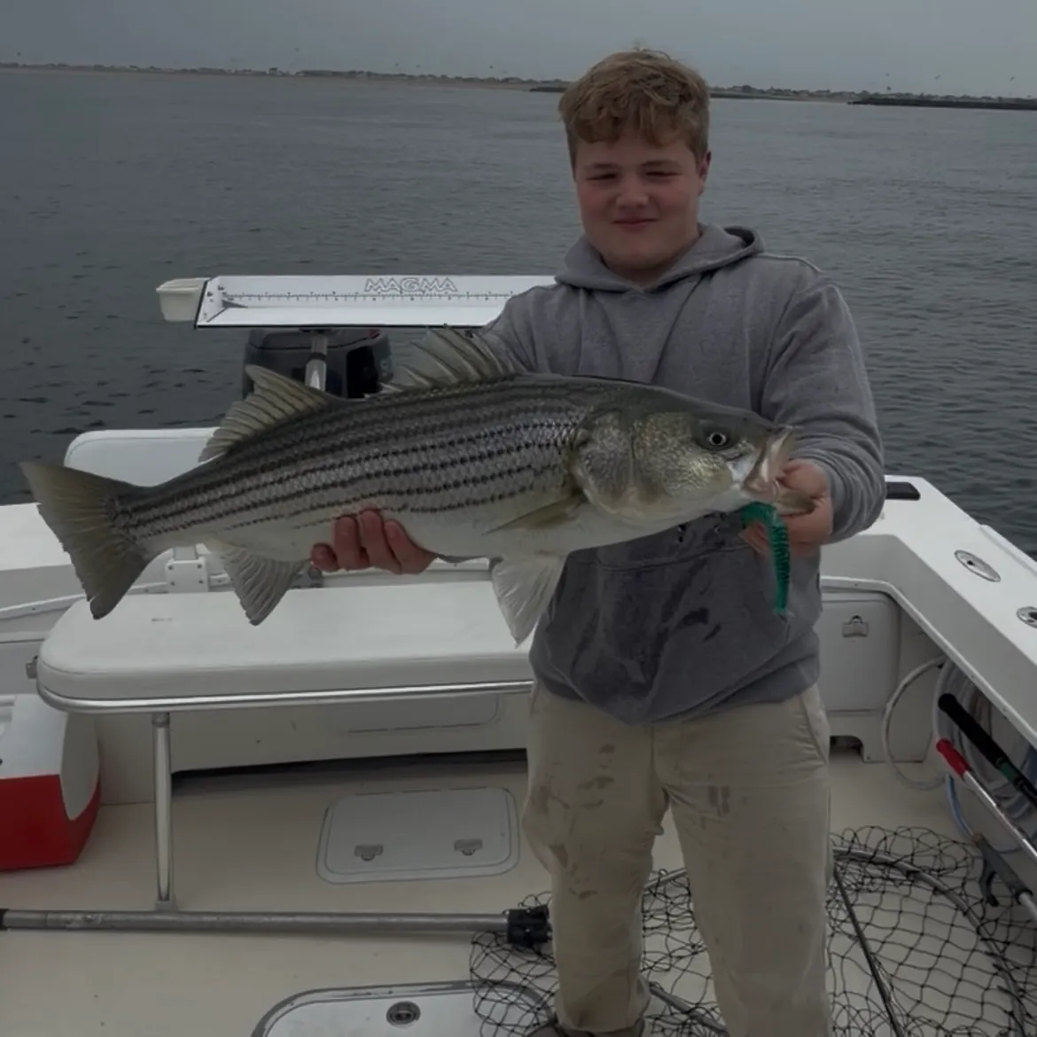 The most recent Striped bass catches on Fishbrain