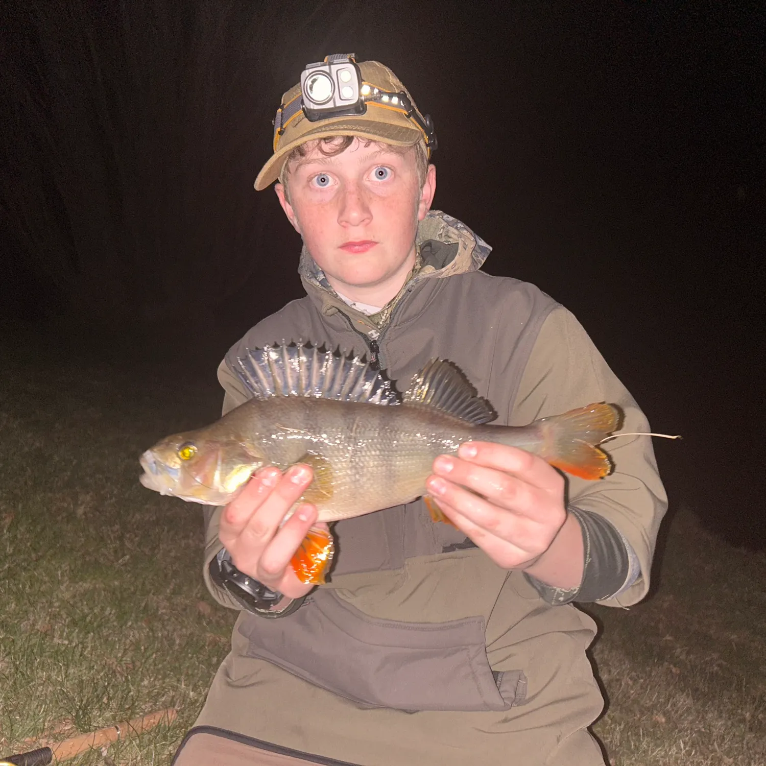European perch caught on Fishbrain
